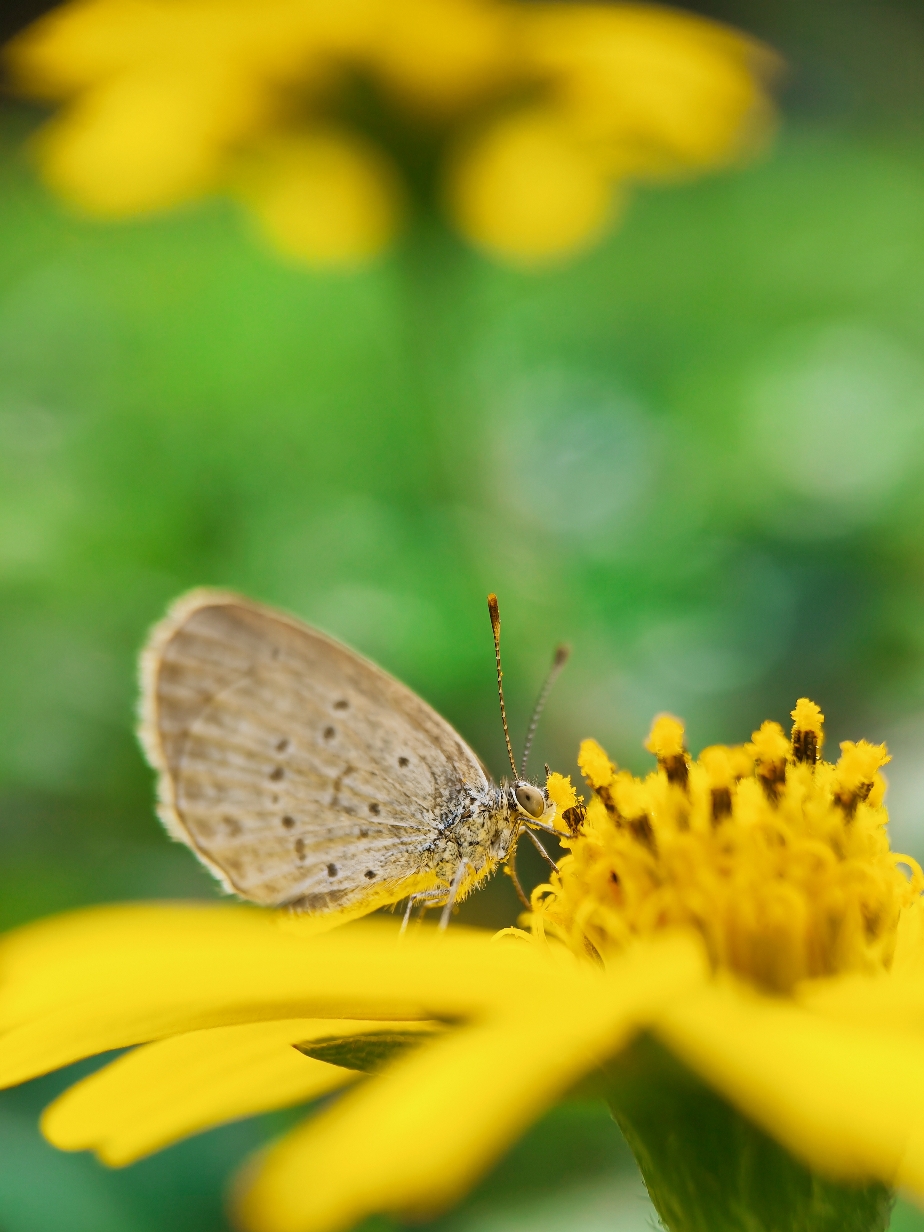 IMG_20211103_154242_polarr.jpg