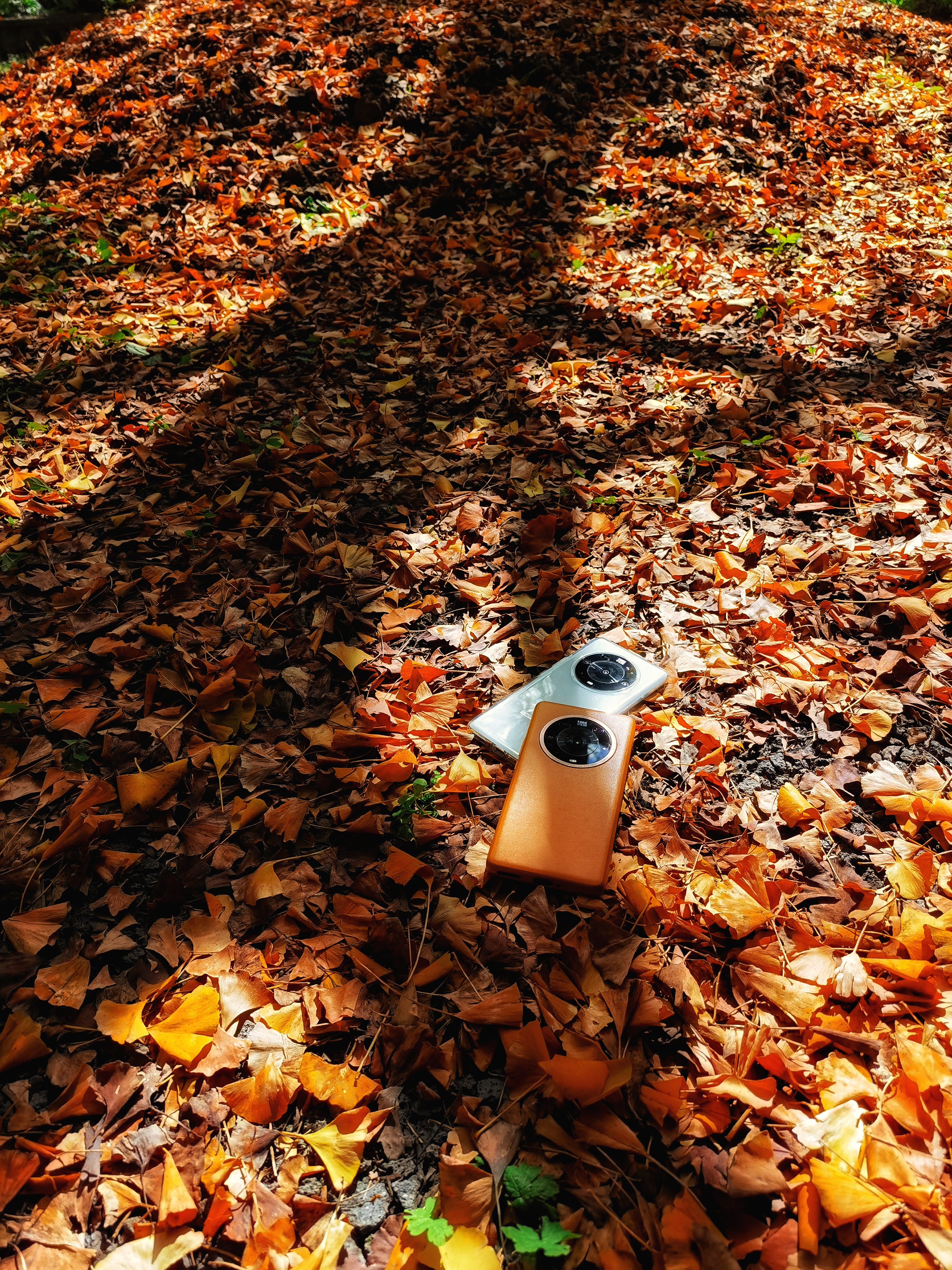 IMG_20211105_142647-01.jpeg