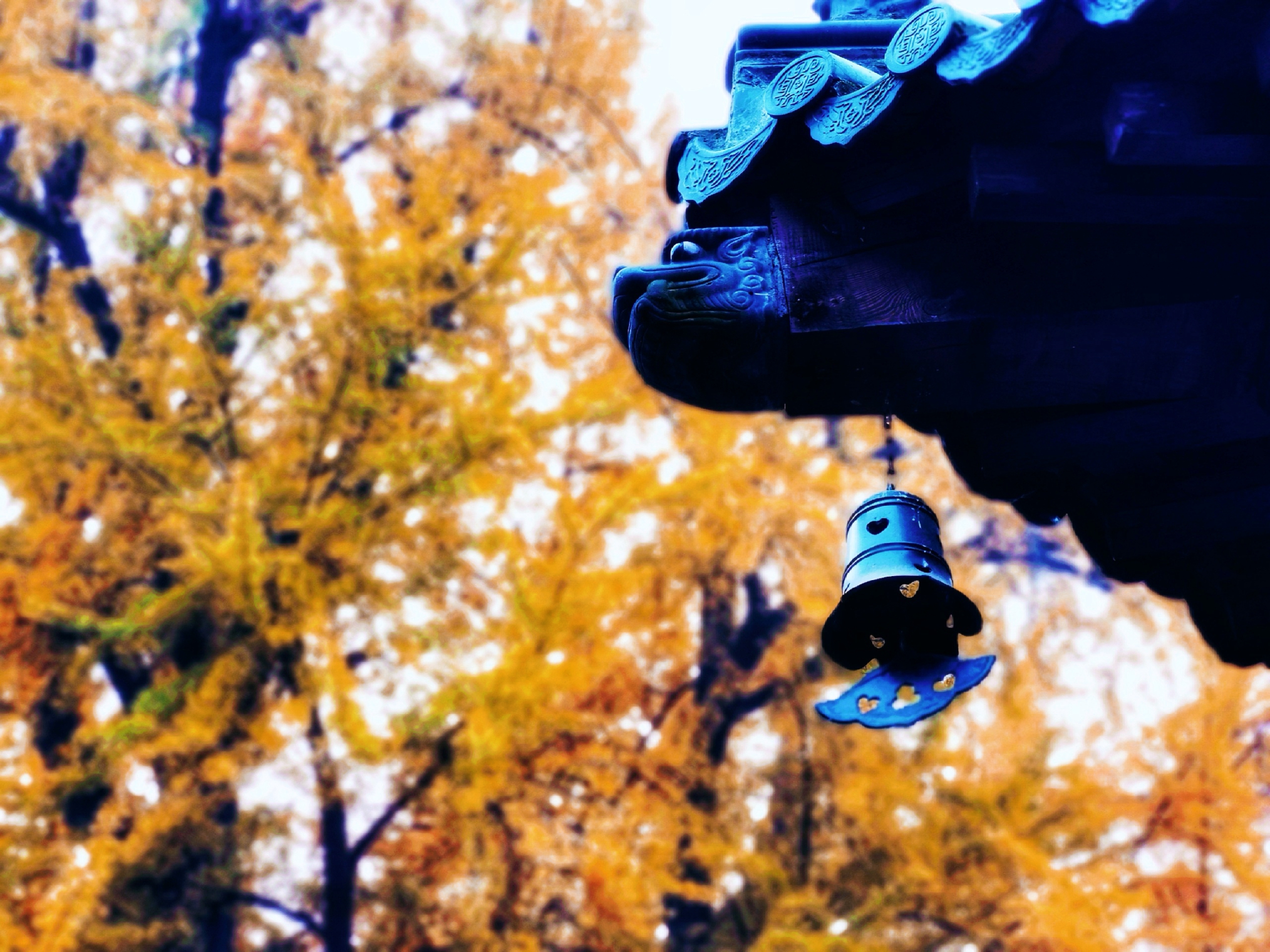 151056obttzpqtmpbxxzou_20211105_111941_20211105_112712_edit_207686692675_2021110.jpg