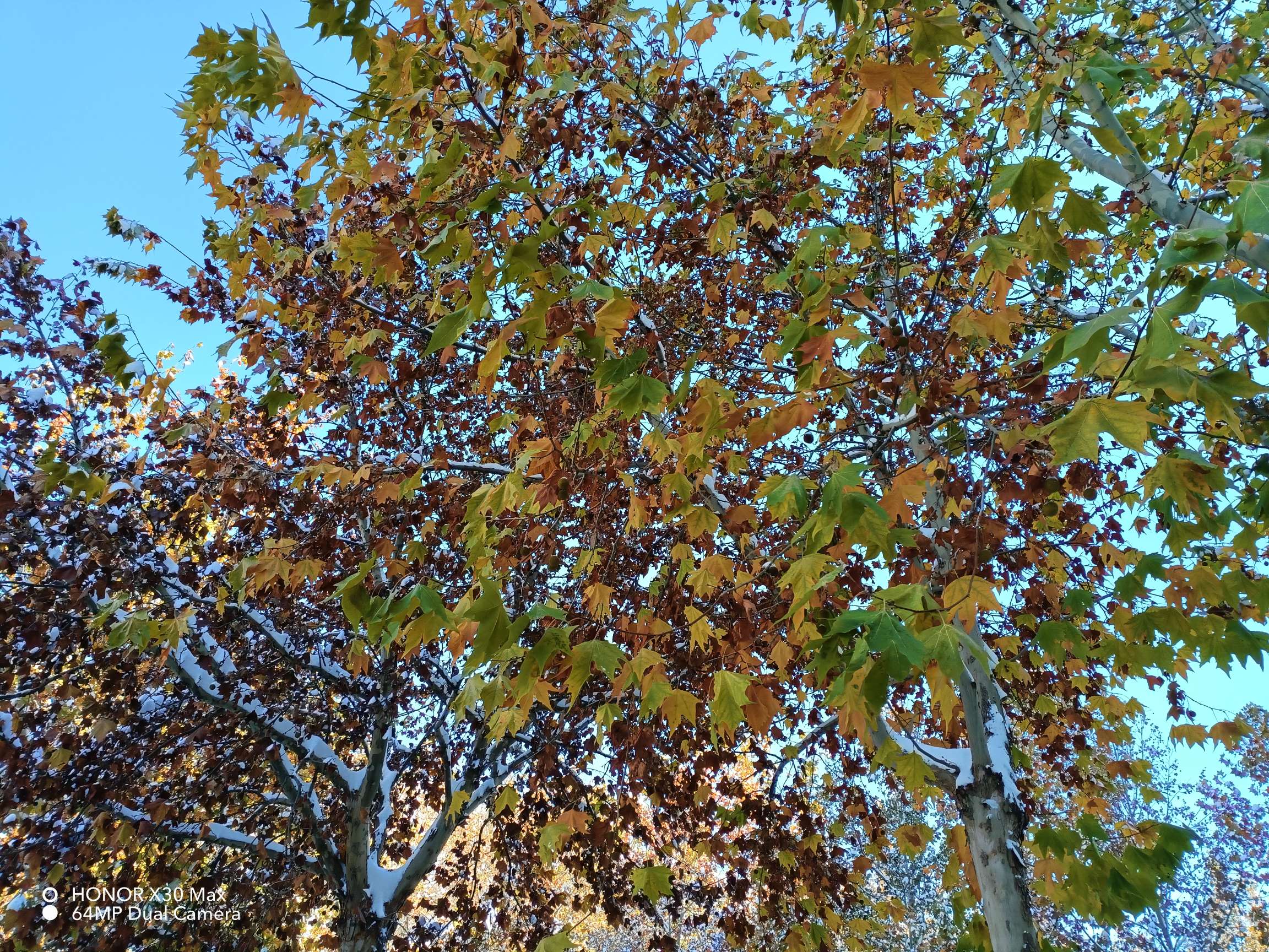 IMG_20211108_090759.jpg