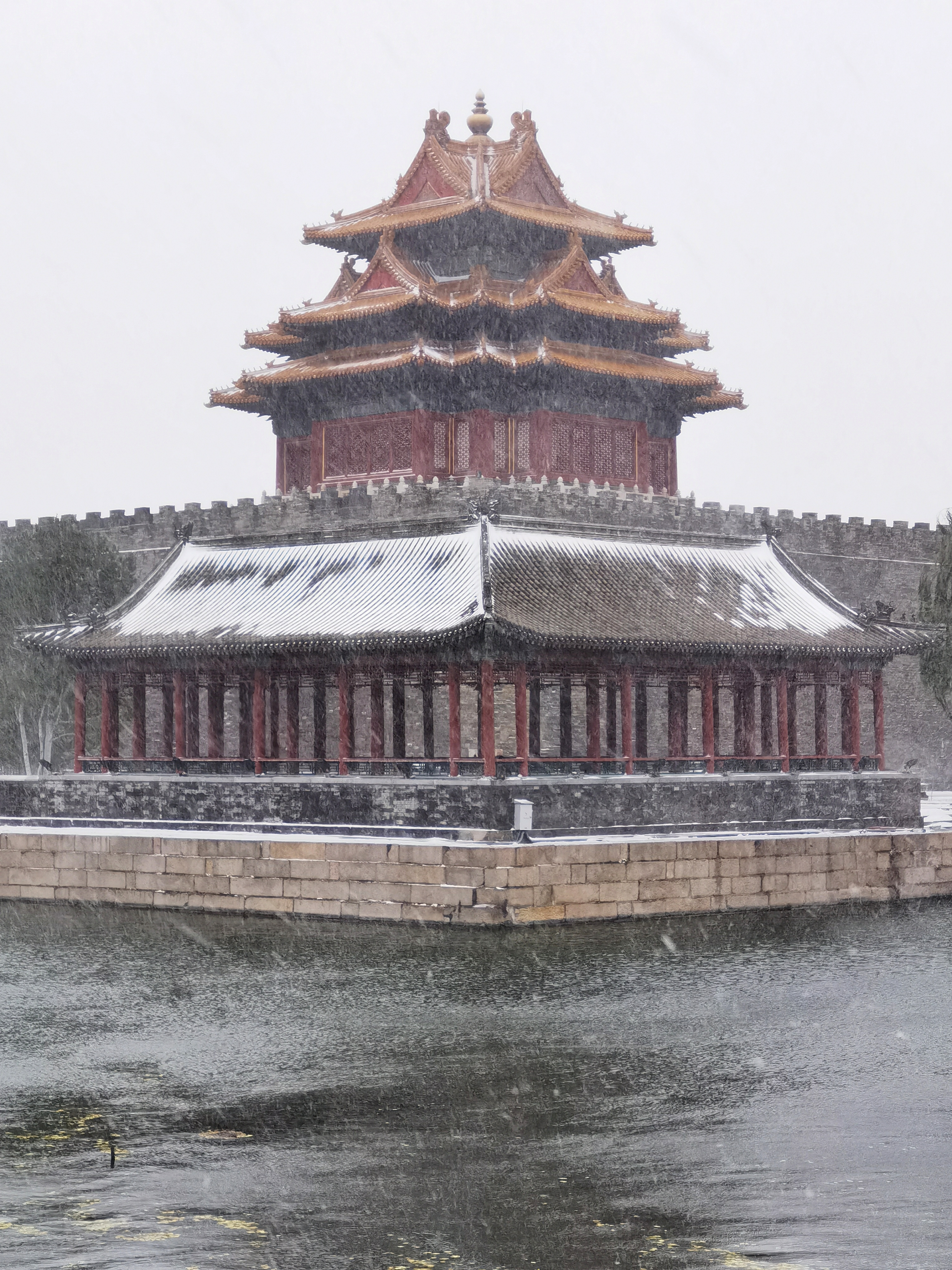 IMG_20211107_081451-01.jpeg