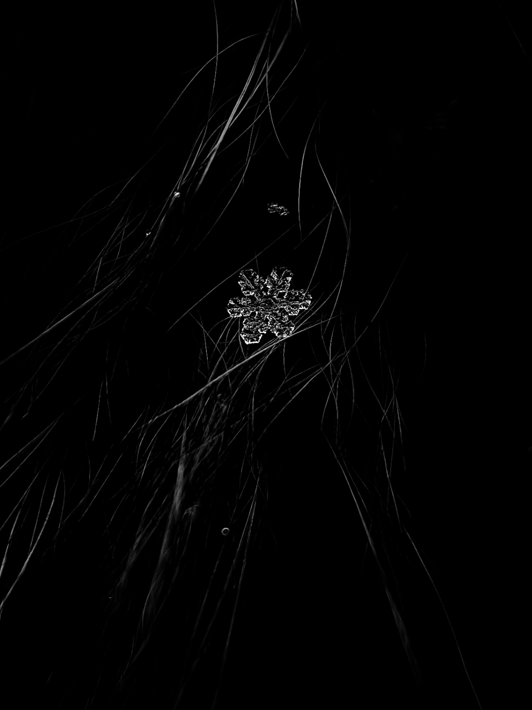 IMG_20211109_130146-01-01.jpeg