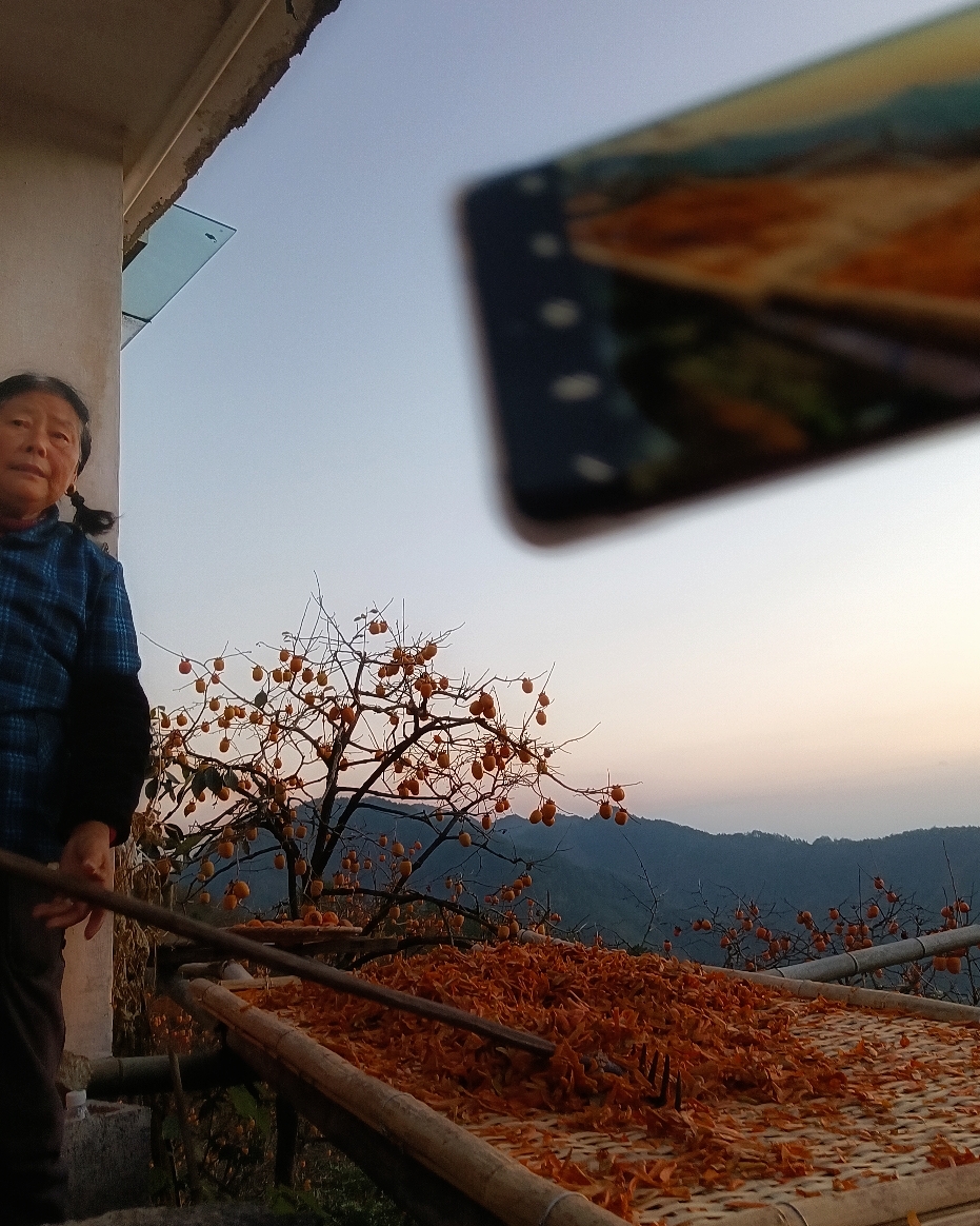 IMG_20211118_171423-01.jpeg