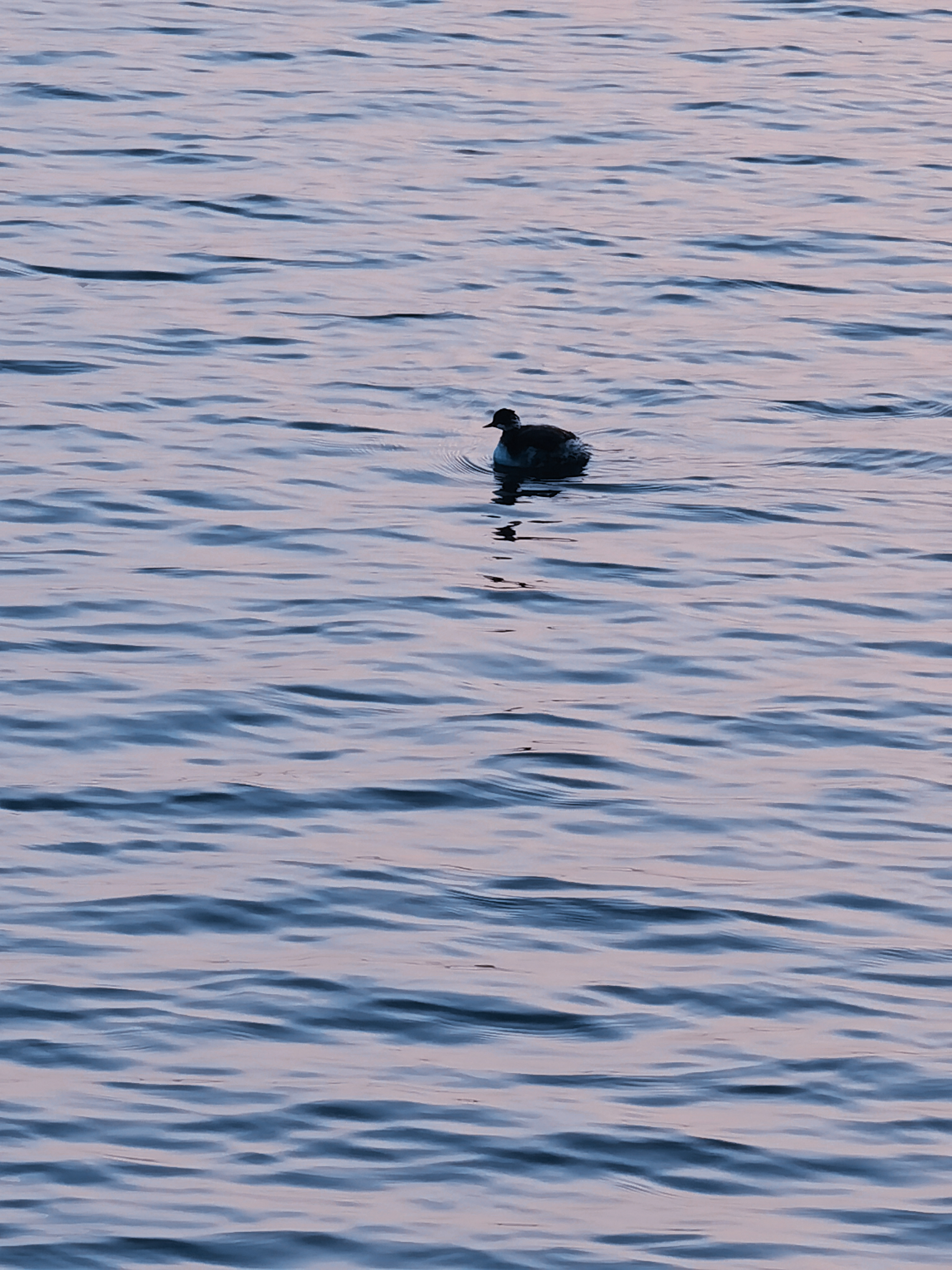 IMG_20211120_071030_polarr.jpg