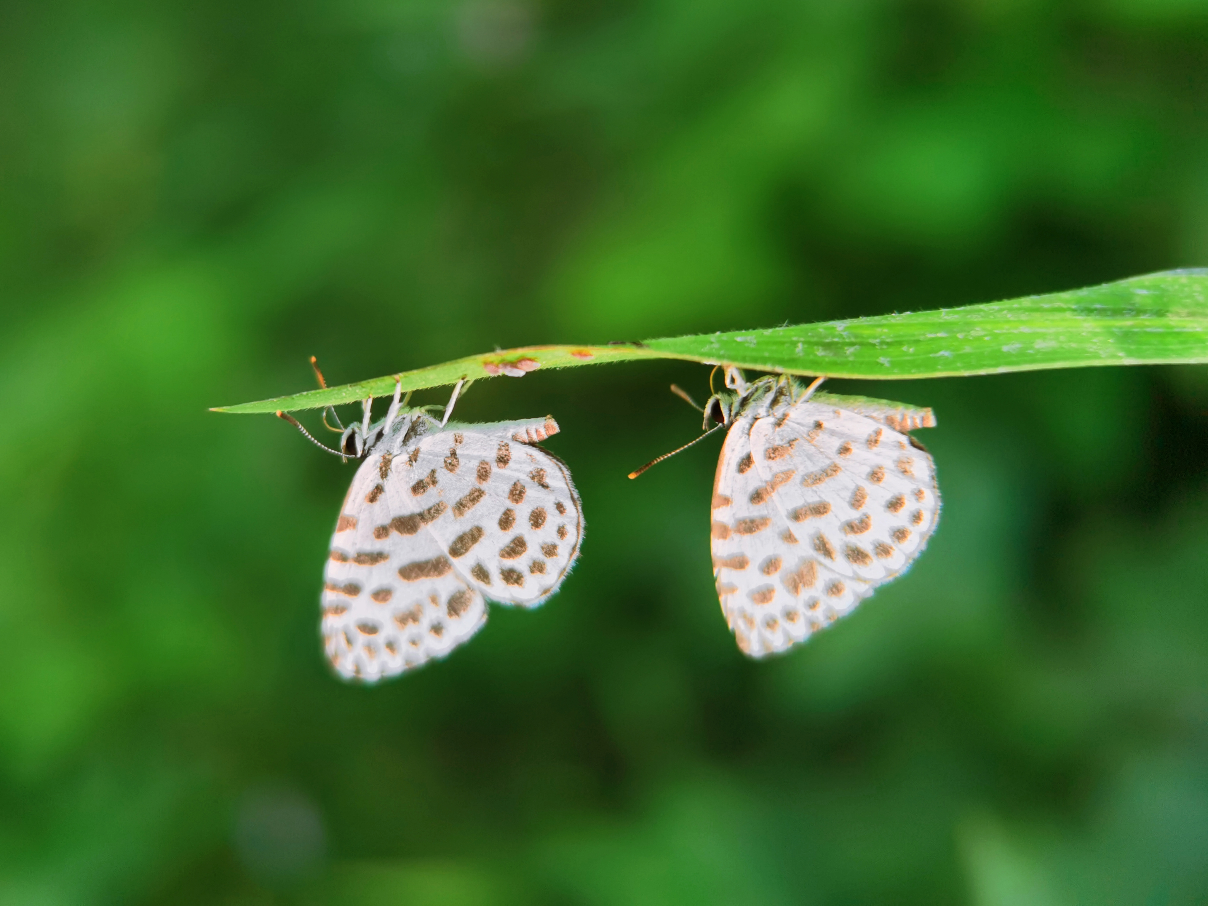 IMG_20210925_100753_20211125_203230_polarr.jpg