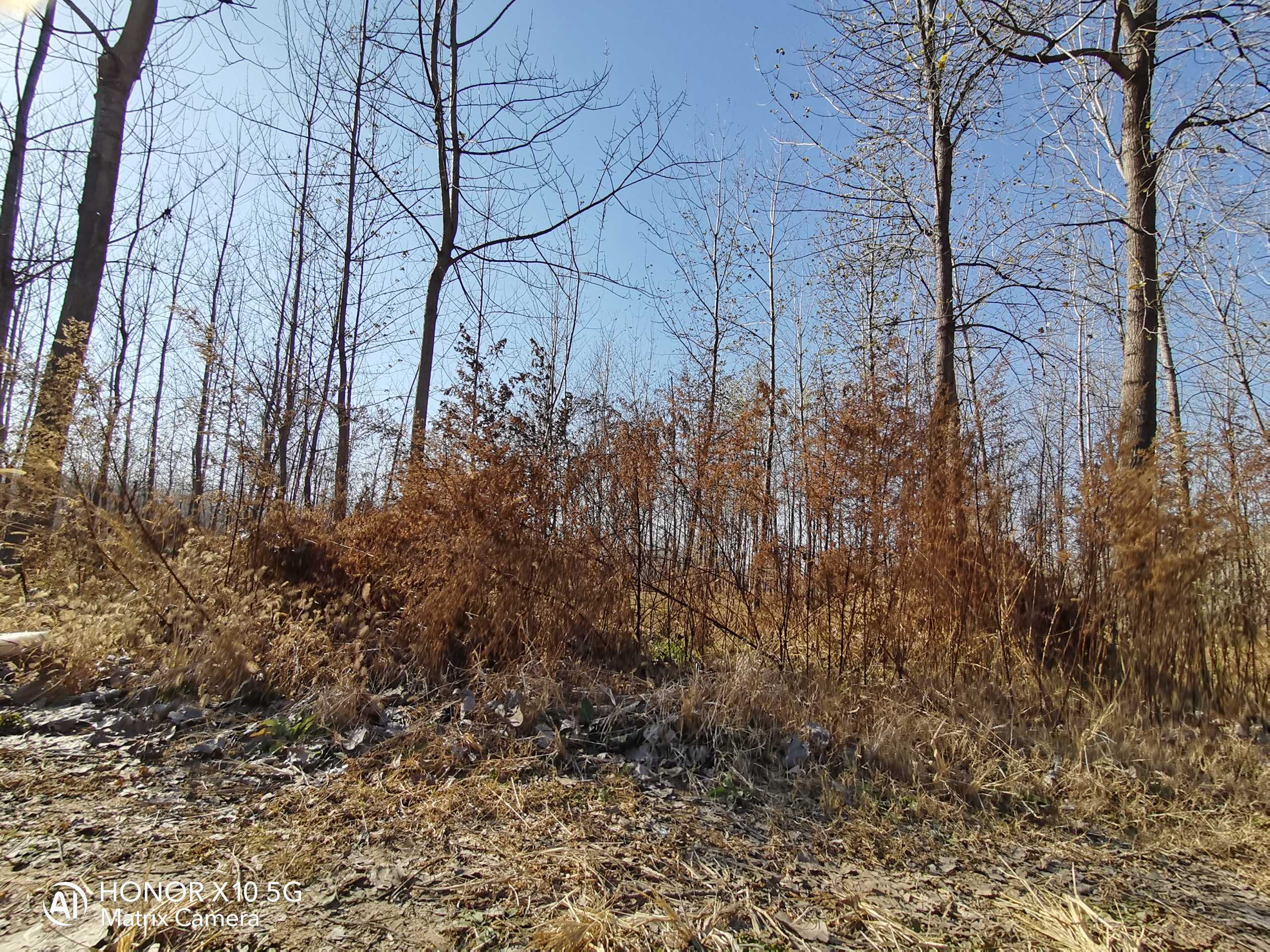 IMG_20211204_134747.jpg
