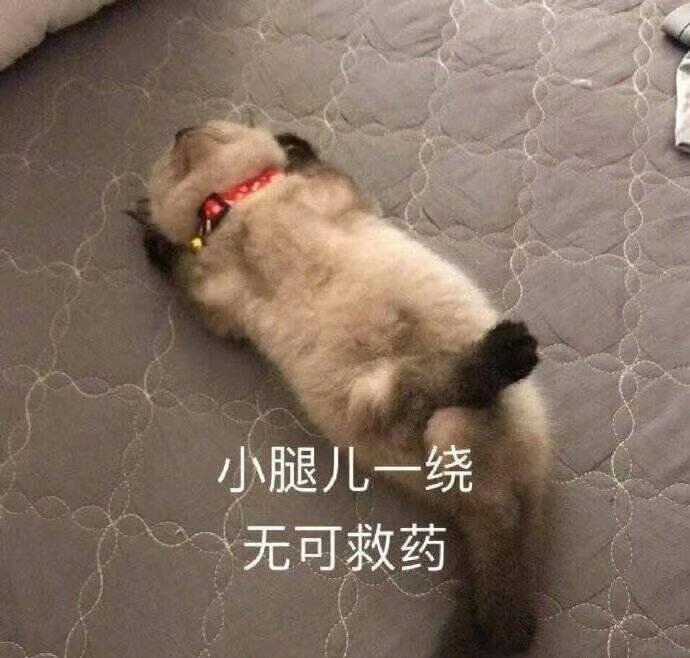 src=http___inews.gtimg.com_newsapp_bt_0_13316044392_1000.jpg&refer=http___inews..jpg