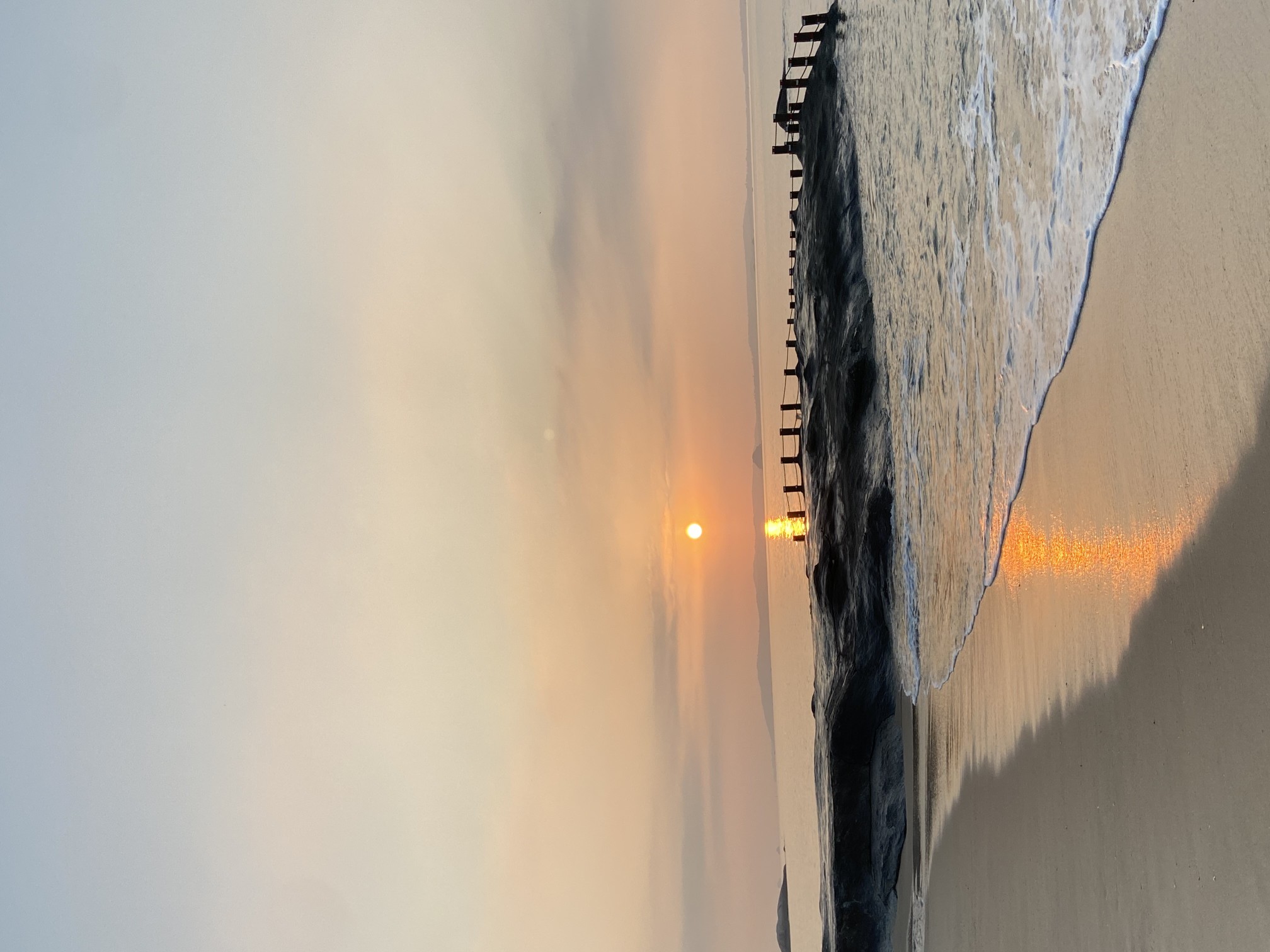 -380585bf57385a34.jpg