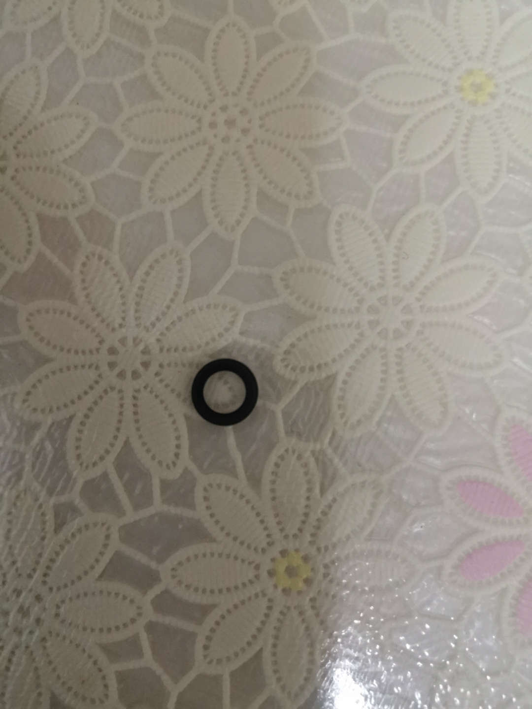 IMG_20211206_091502.jpg
