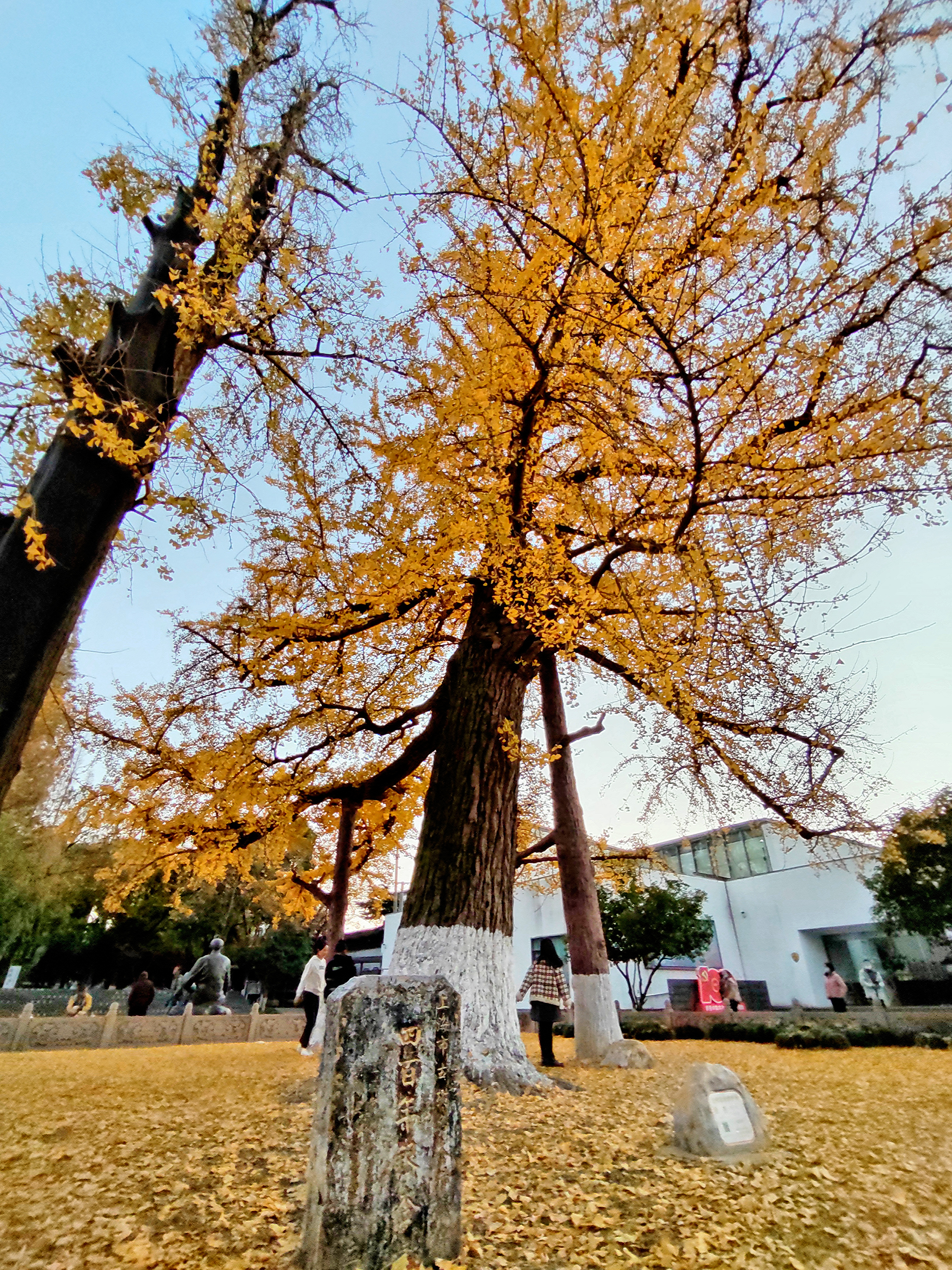 InterPhoto_1638754049608.jpg