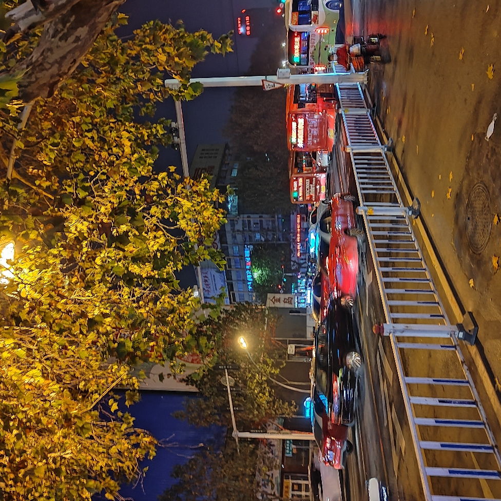 IMG_20211120_183309.jpg
