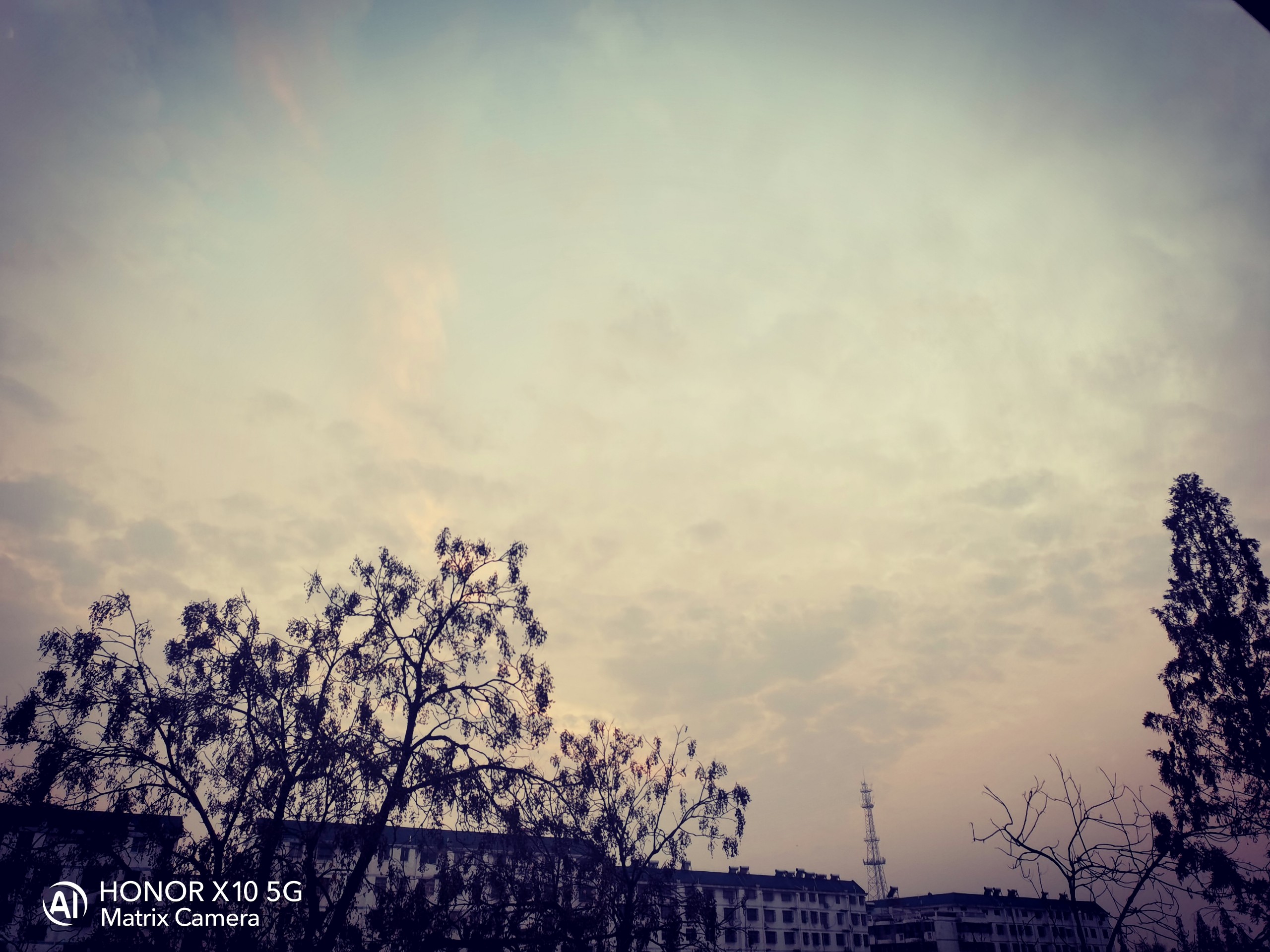 IMG_20211210_171257.jpg