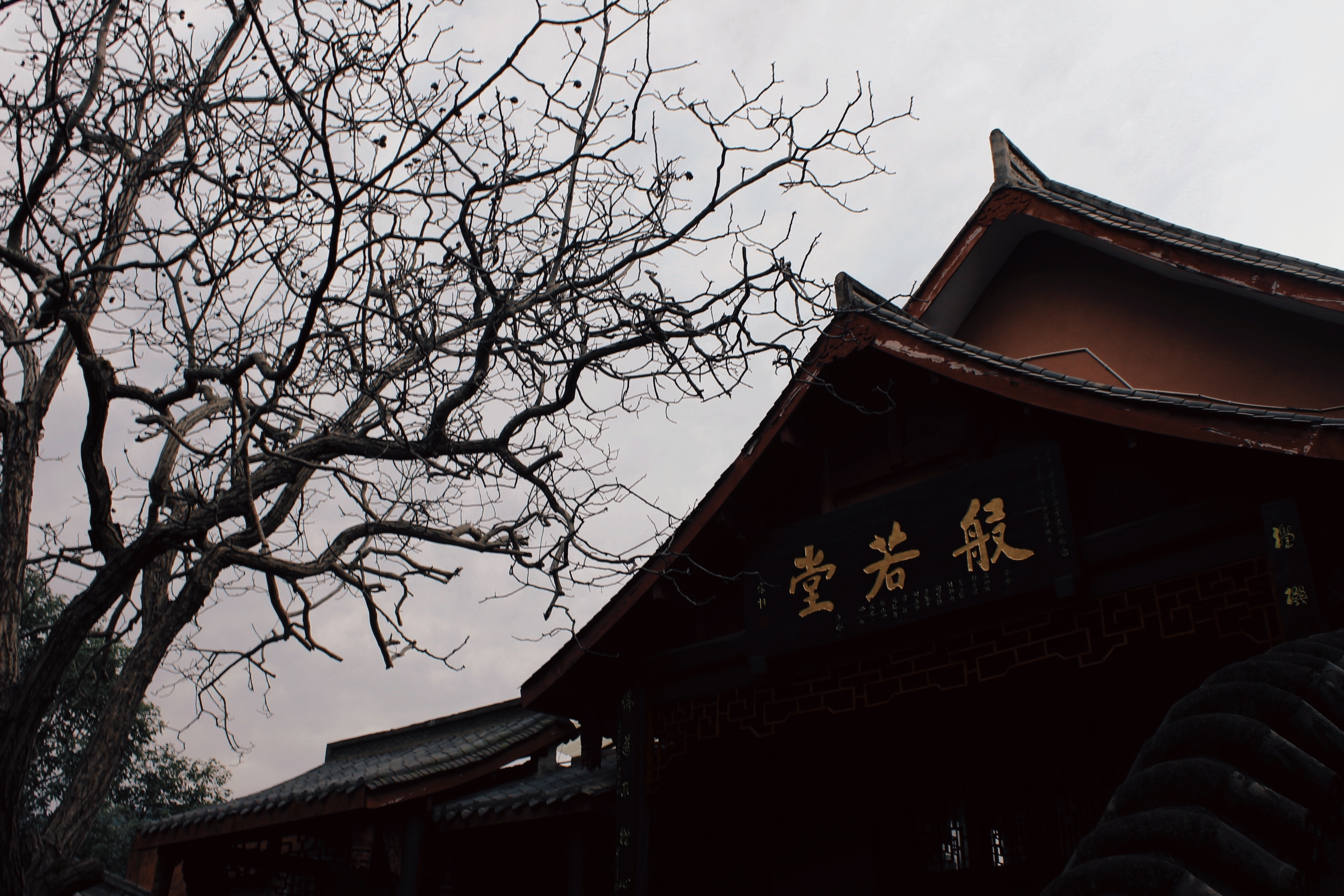 retouch_2021121116384886.jpg