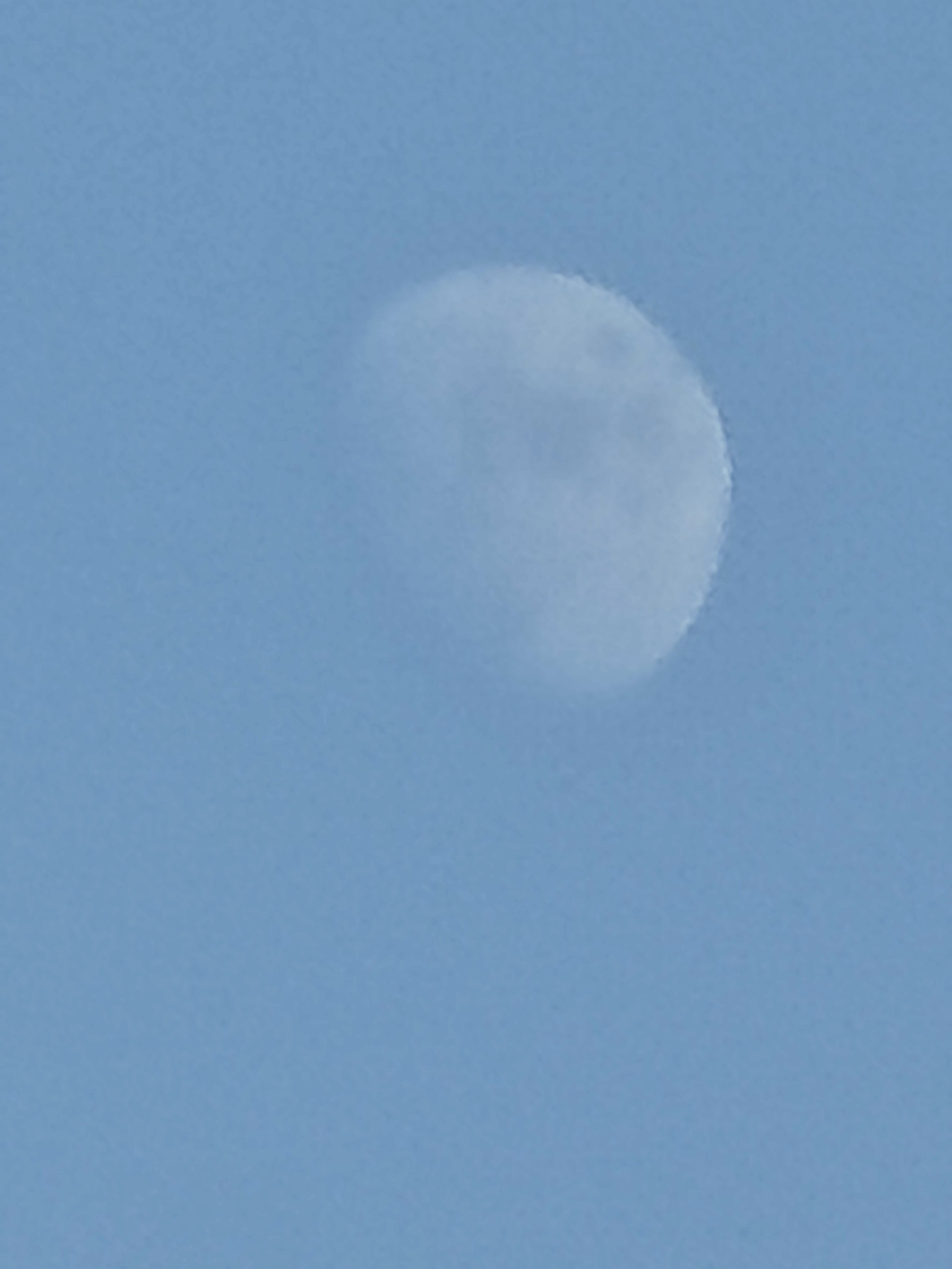 IMG_20211214_153601.jpg.jpg