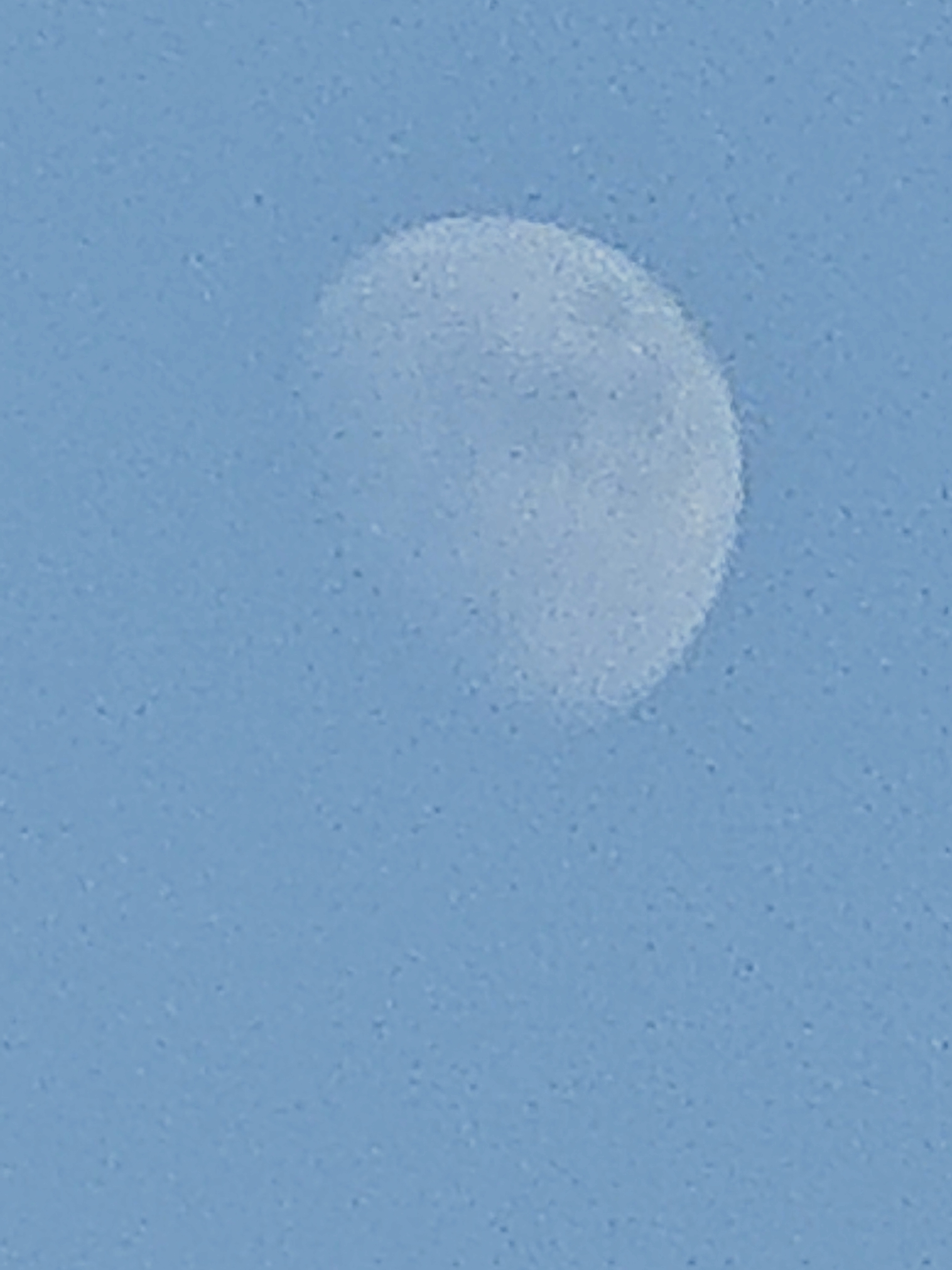 IMG_20211214_153446.jpg.jpg