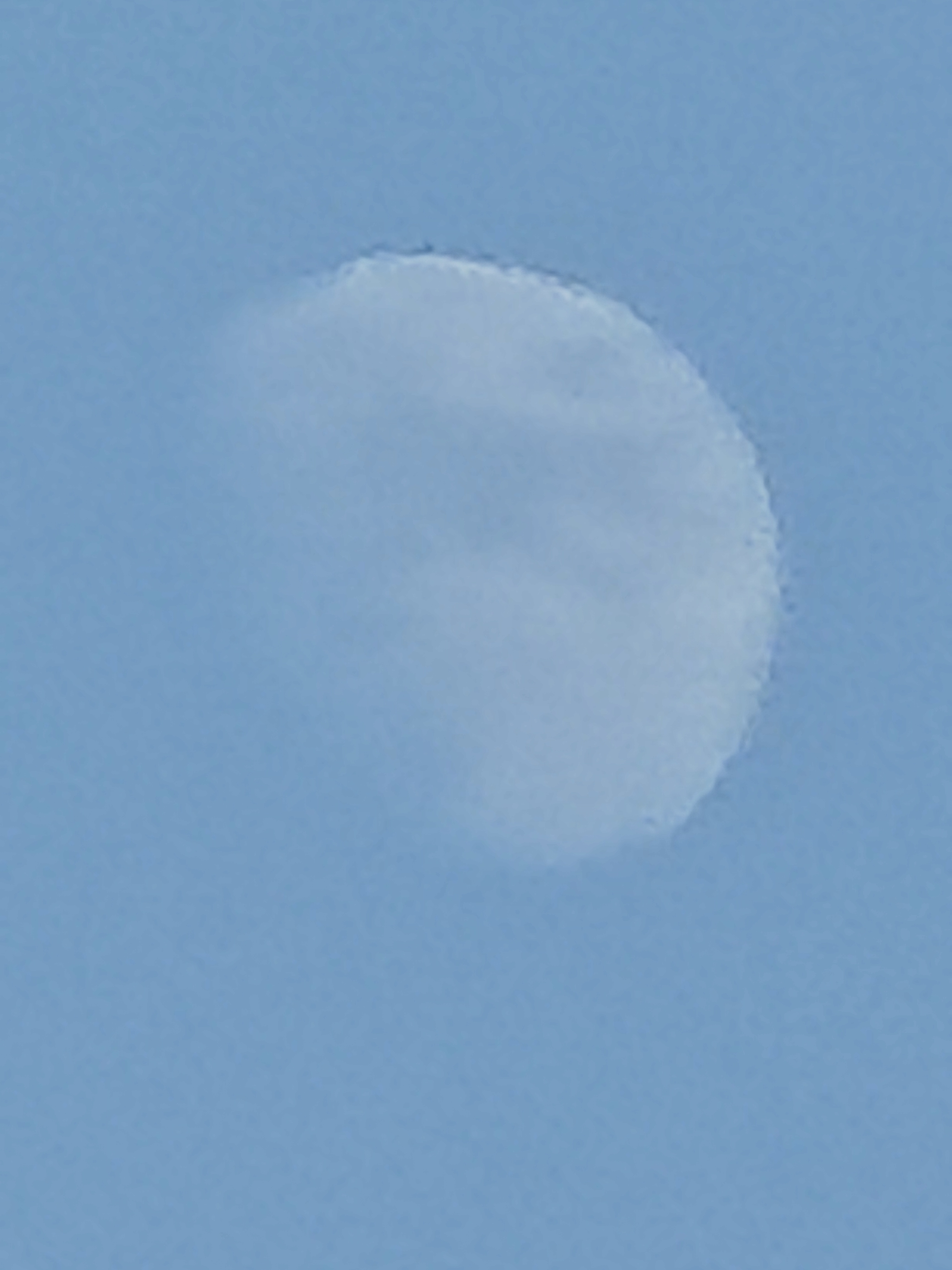 IMG_20211214_153439.jpg.jpg