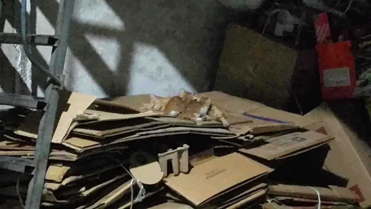 20211216_205218_9689.jpg