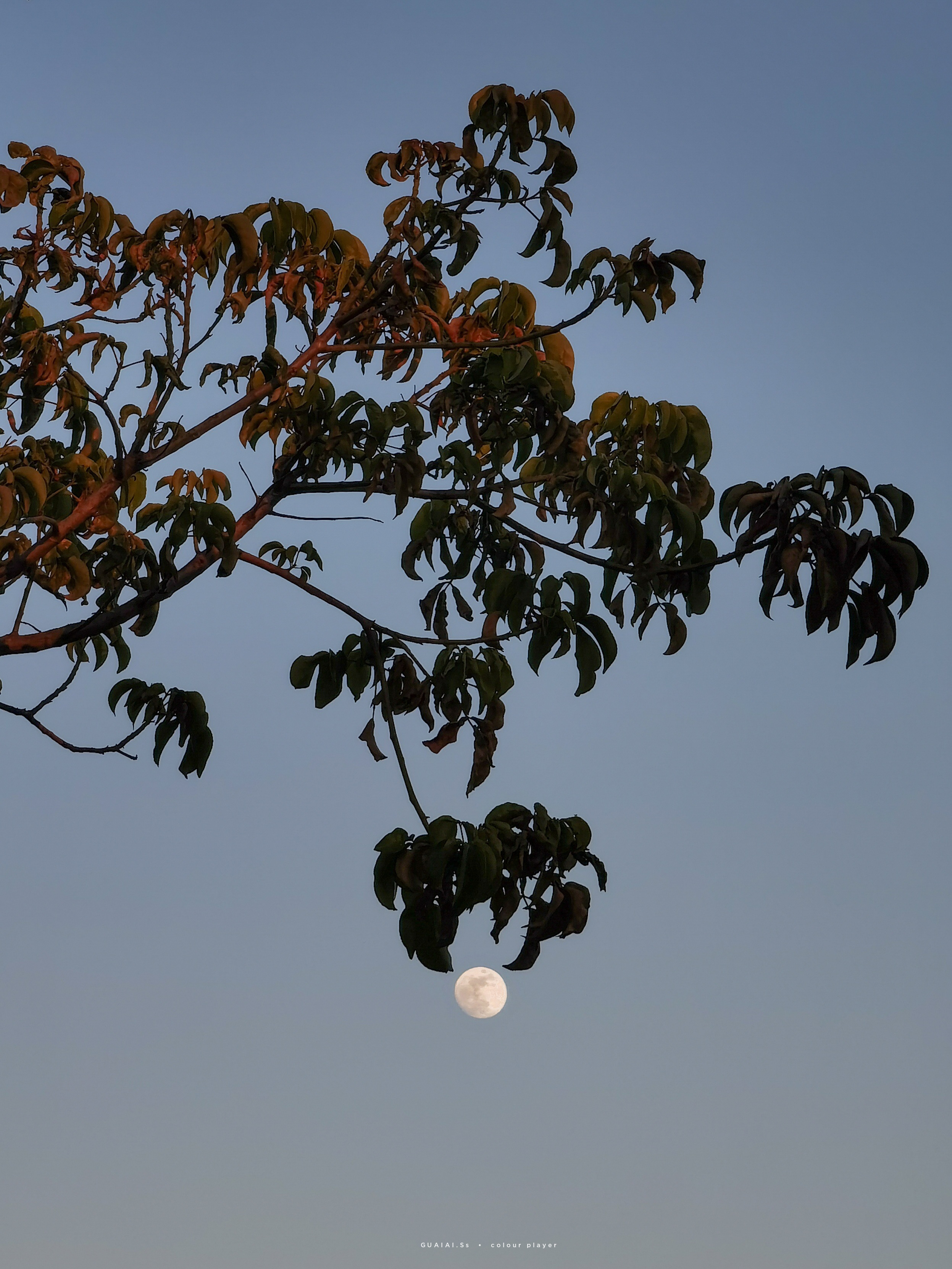 InterPhoto_1639744263671.jpg