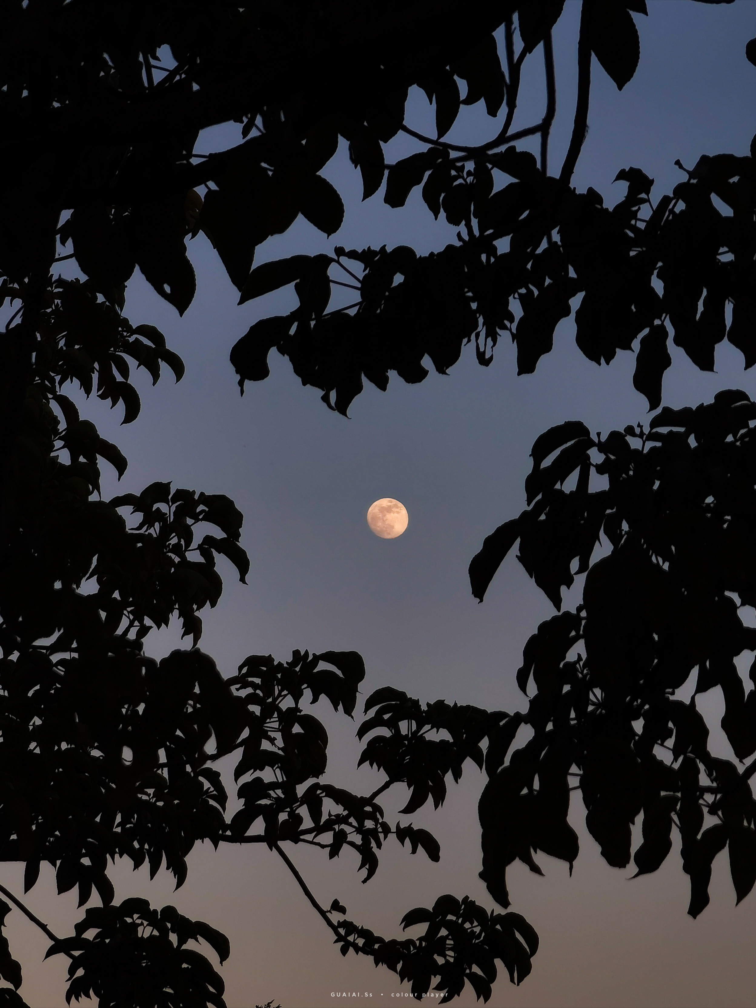 InterPhoto_1639744302895.jpg