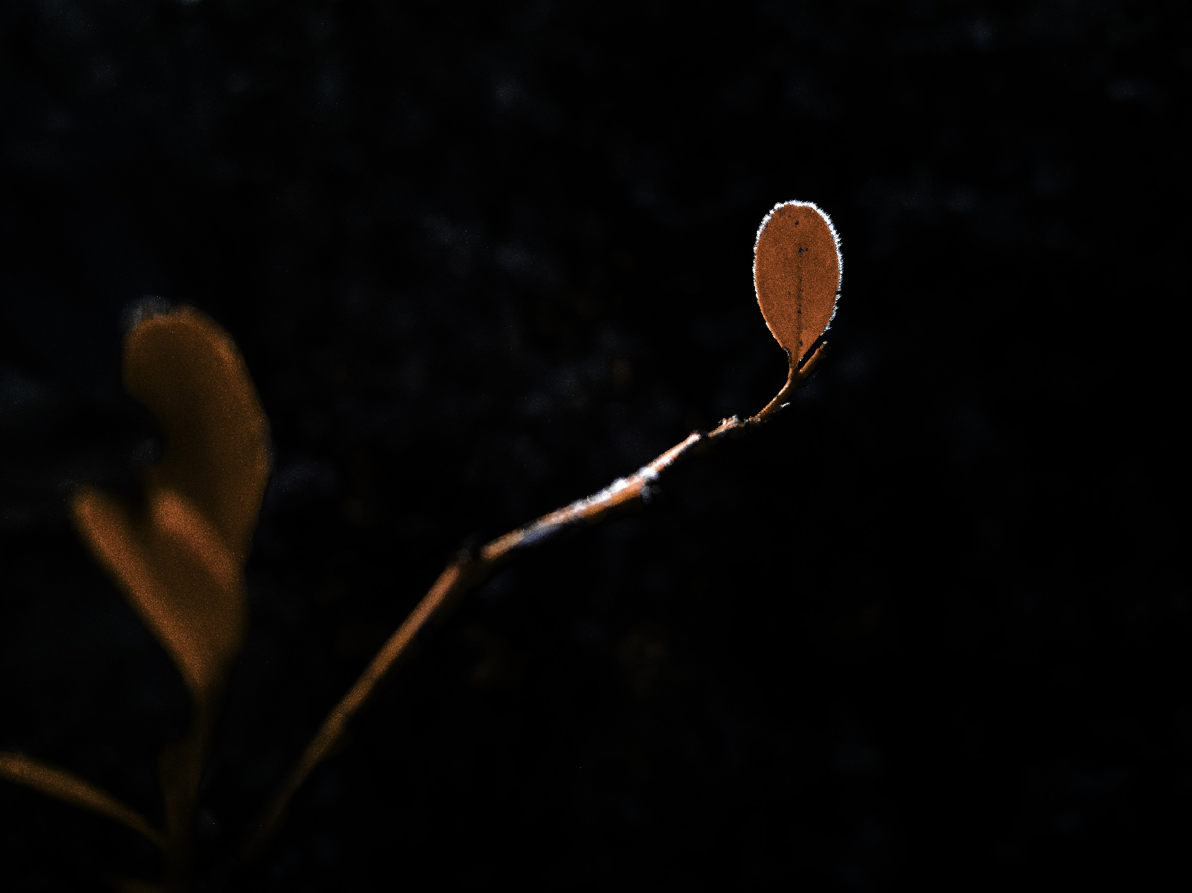 092312.jpg