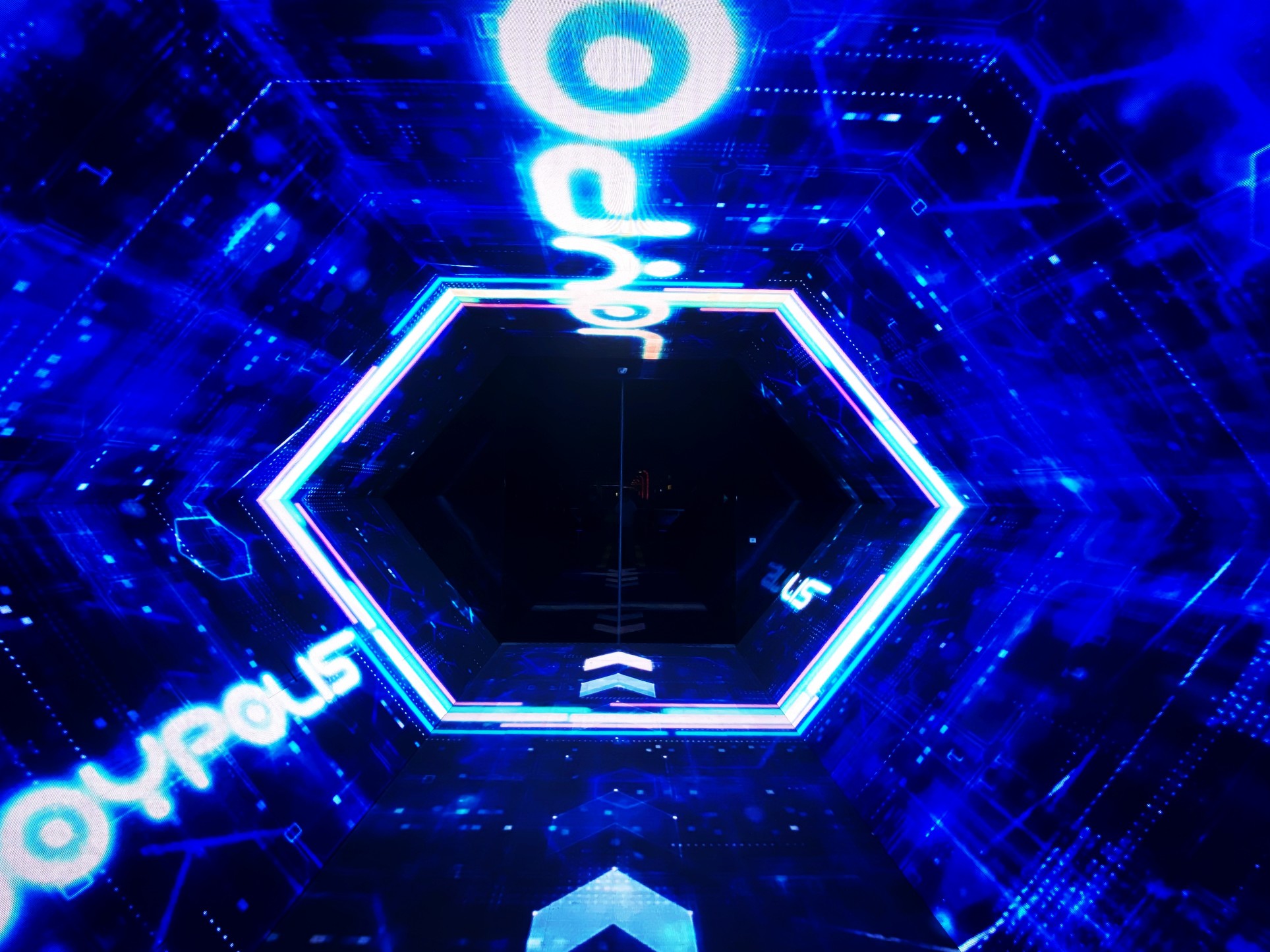 mmexport1640095626419_edit_188033770056707.jpg
