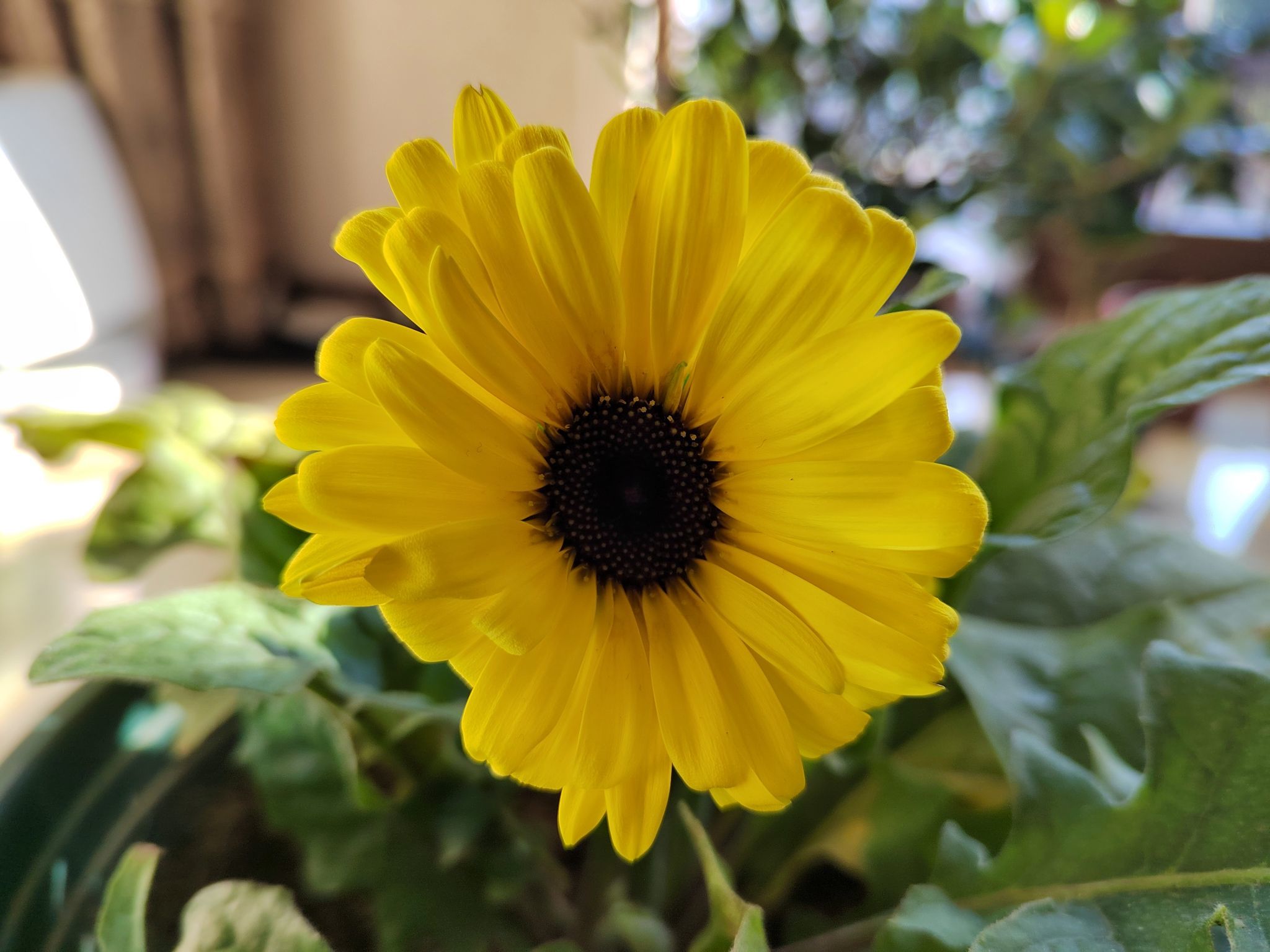 v2-6fd7089450831426ab0a1294c3cbc726.jpeg