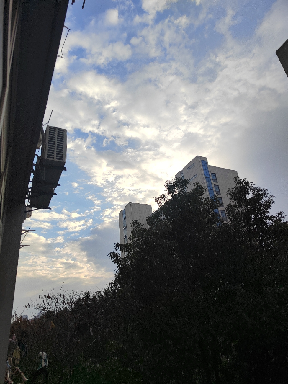 IMG_20211228_083436.jpg