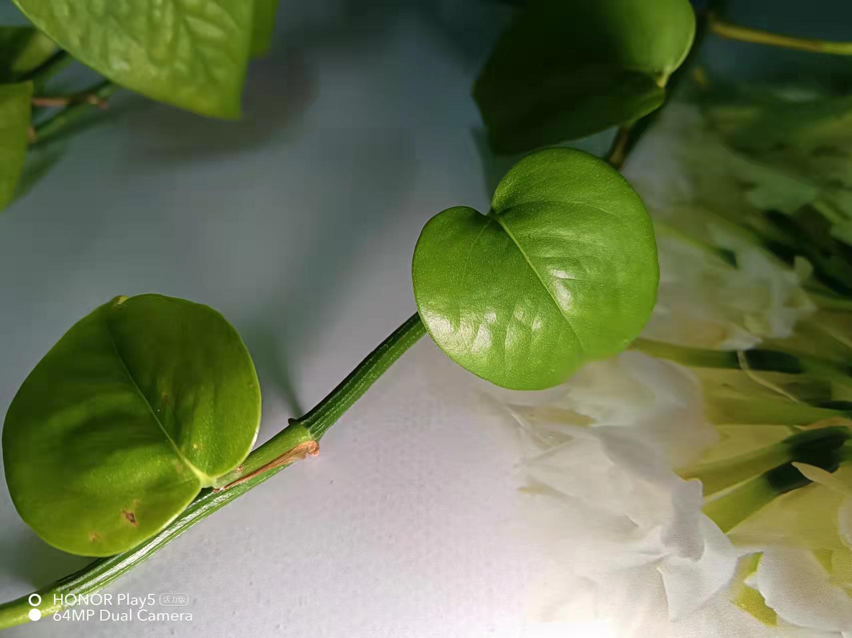 照片2.jpg