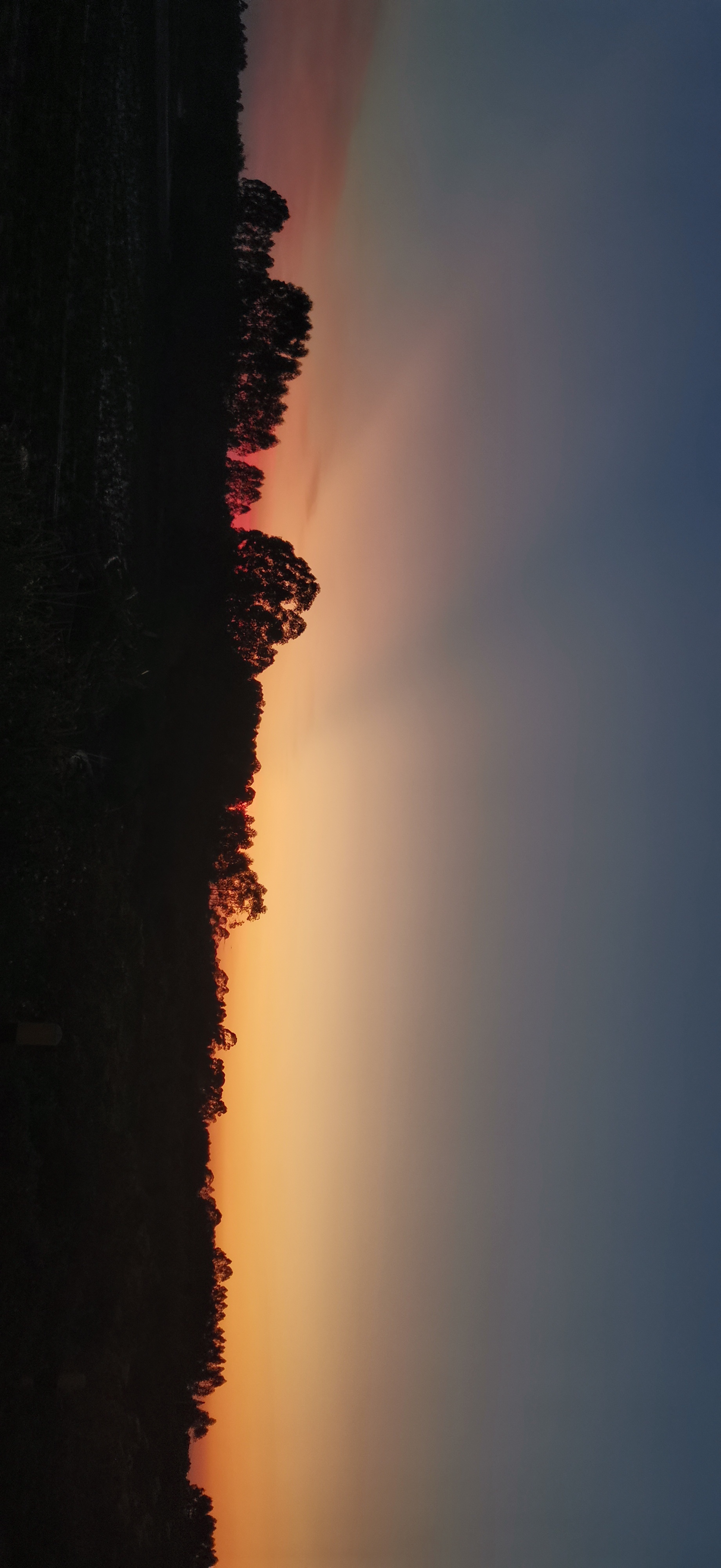 IMG_20211129_175419.jpg