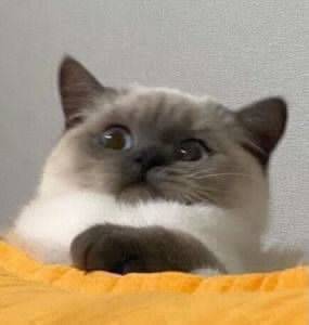 1728001304.jpeg