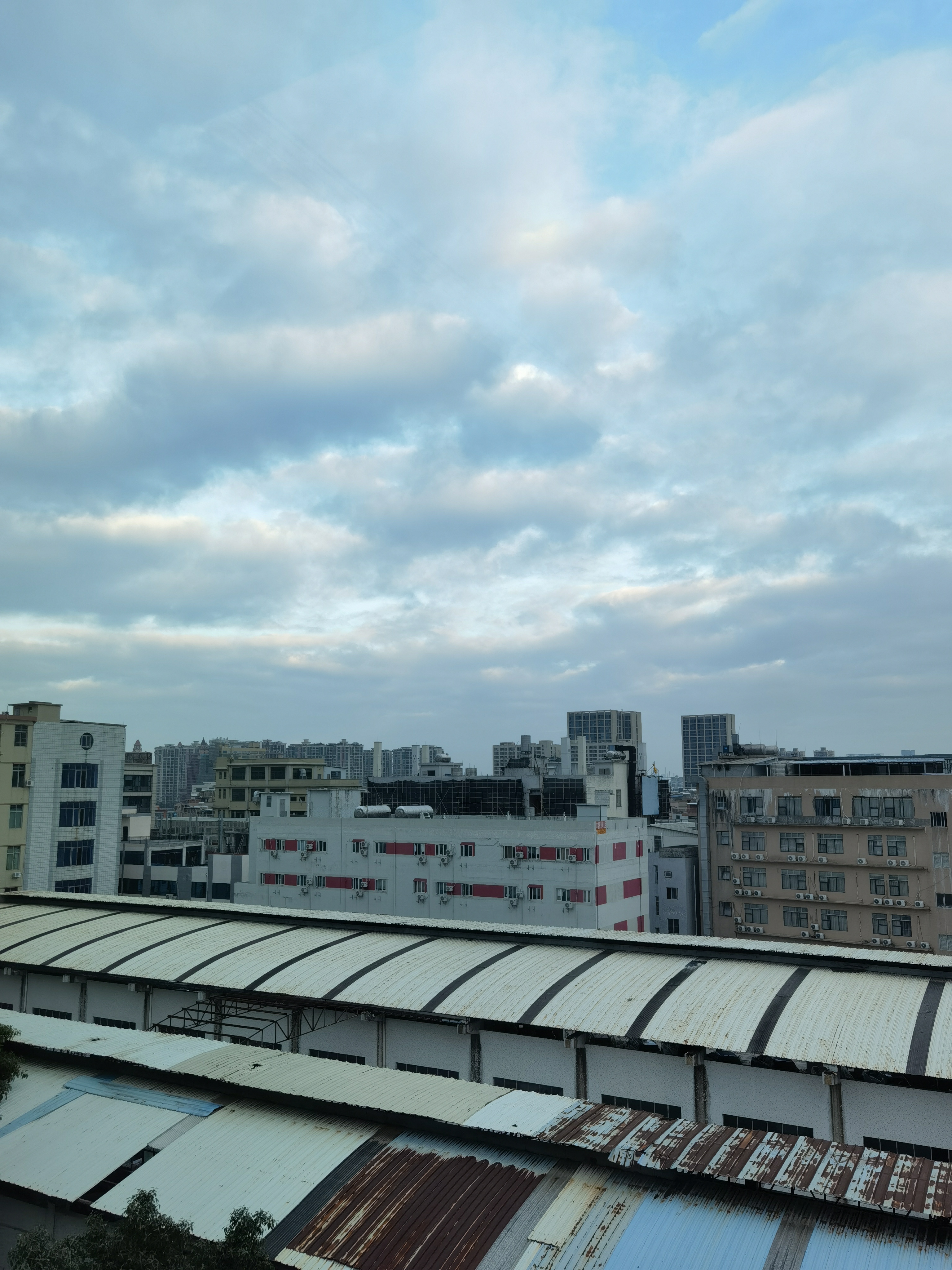 IMG_20211231_073825.jpg