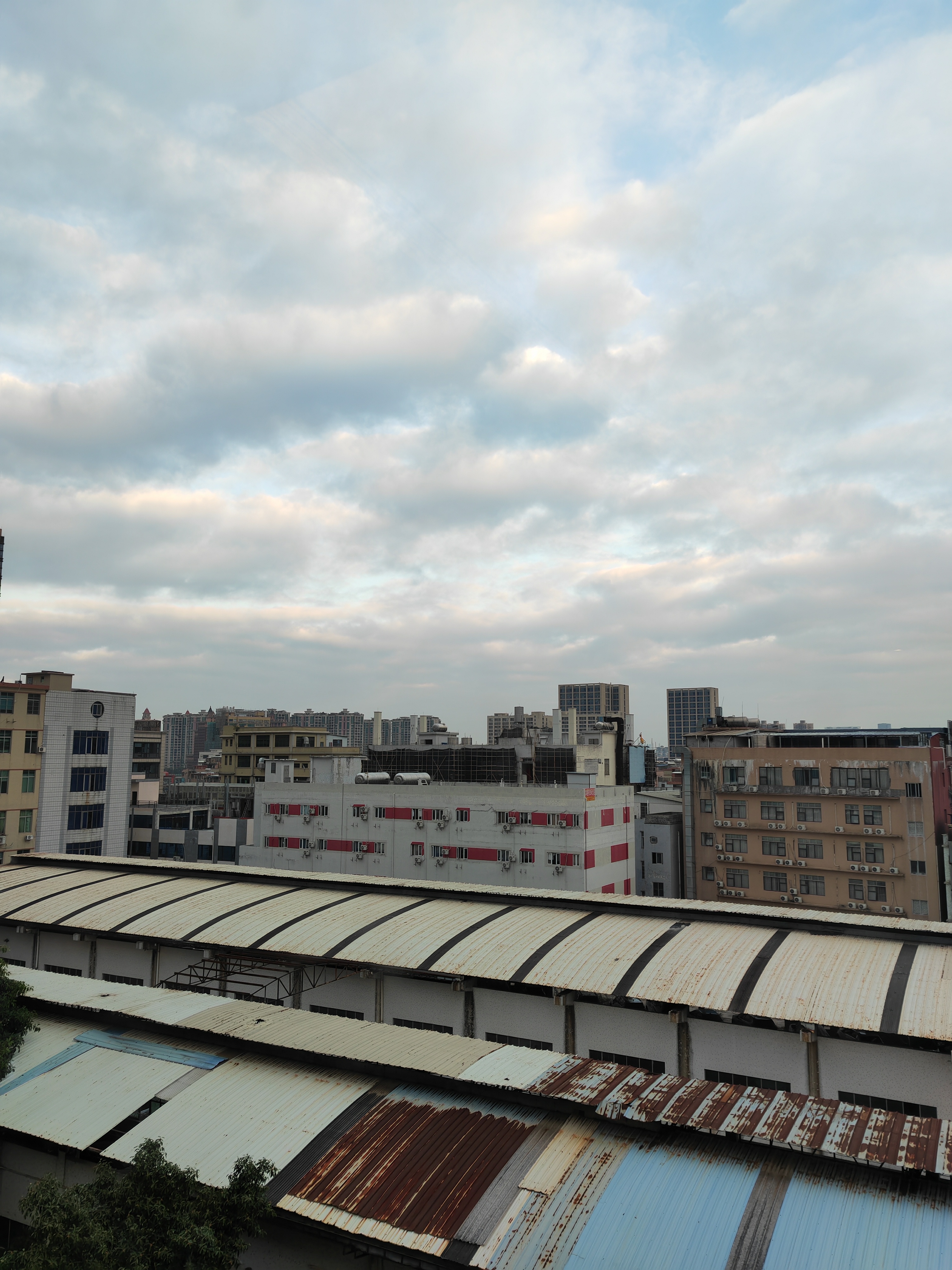 IMG_20211231_073850.jpg