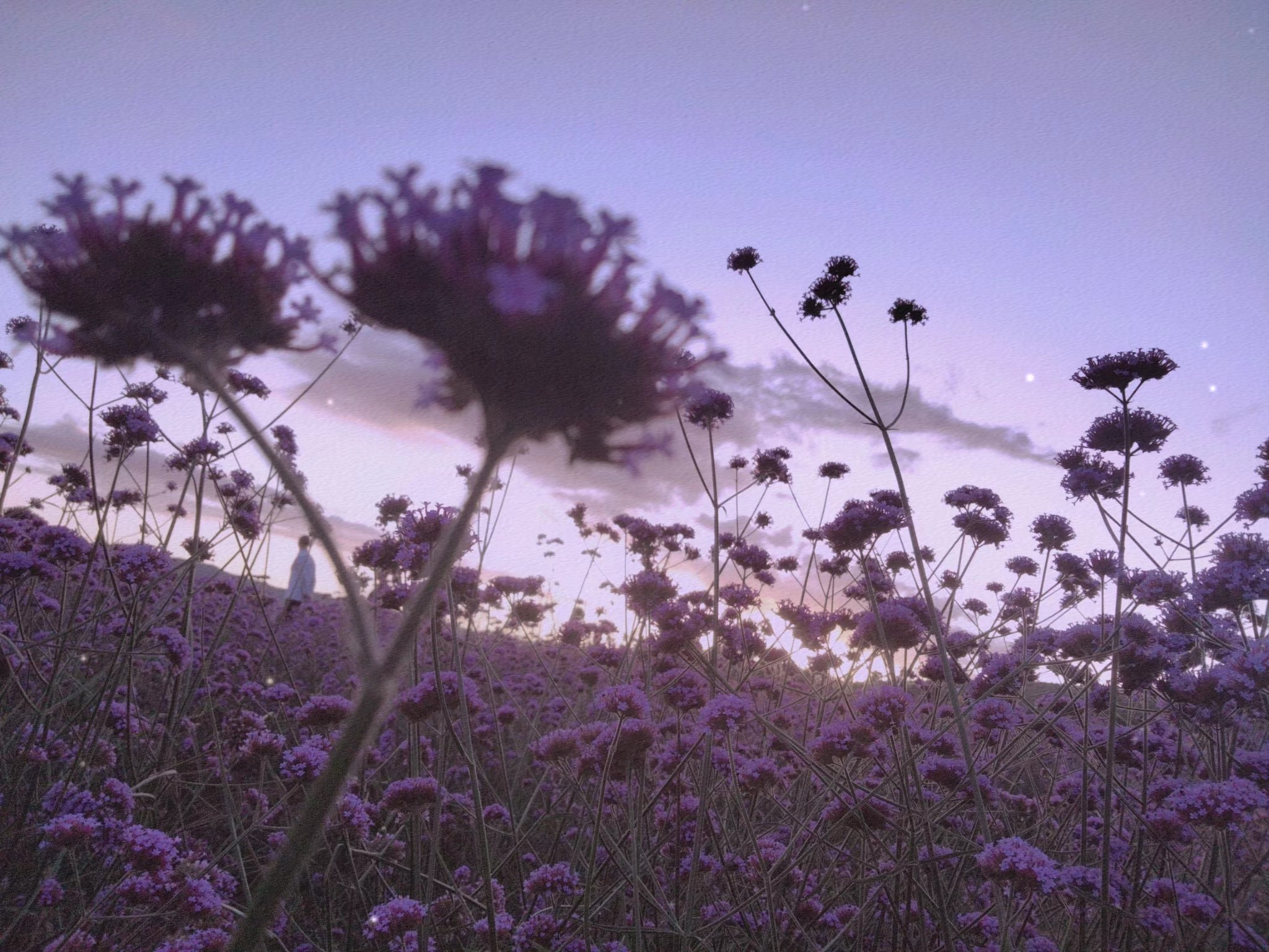 1629522099453.jpeg