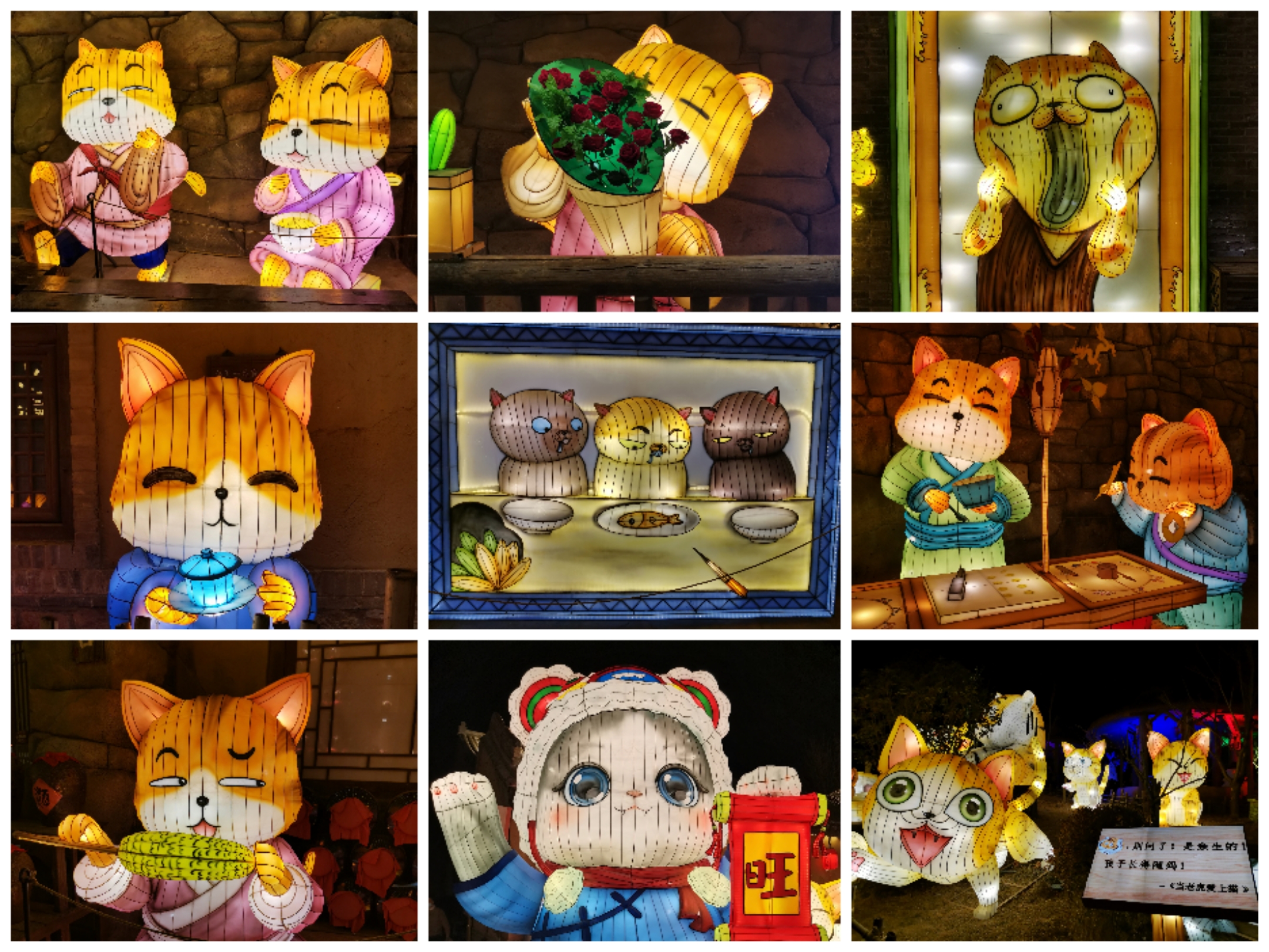 Collage_20211231_235703.jpg