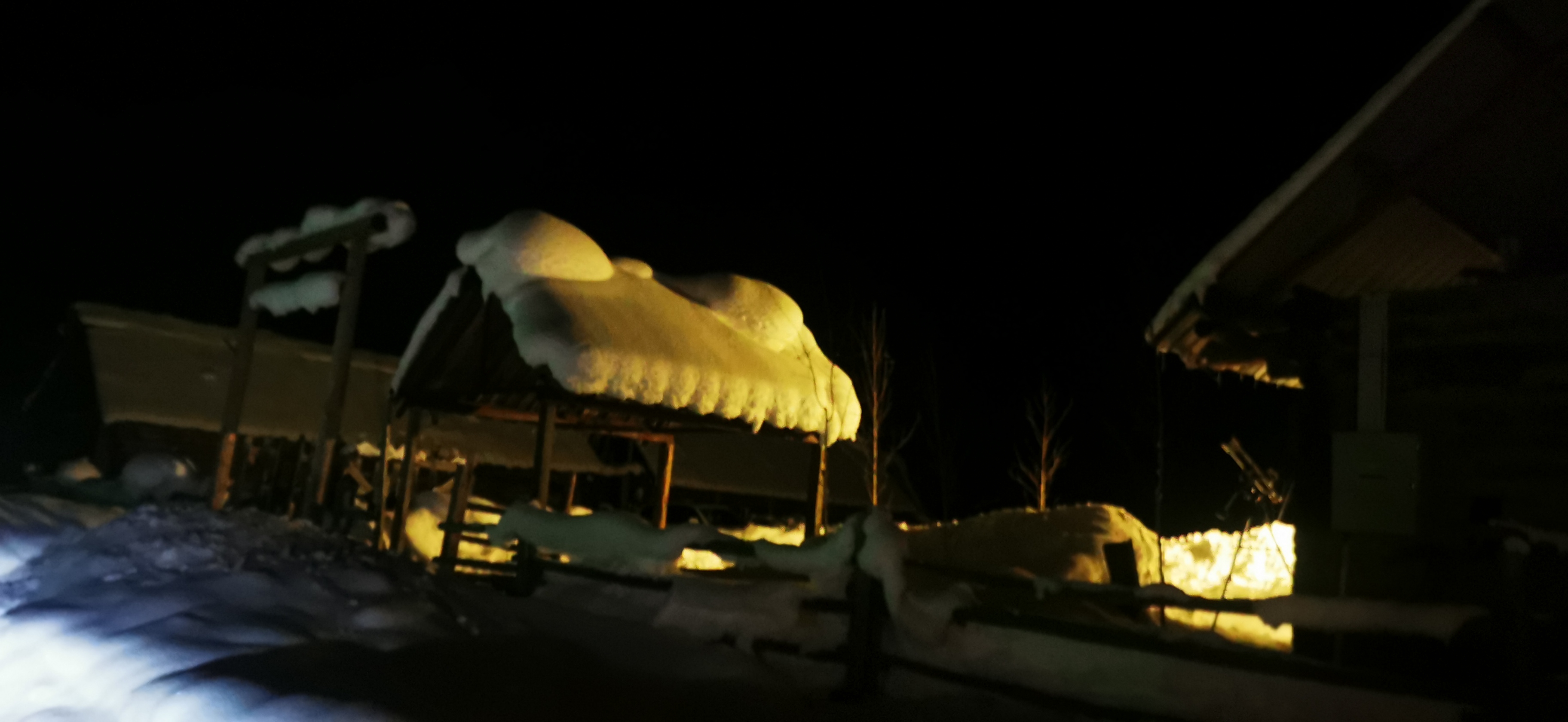 IMG_20211231_215124.jpg