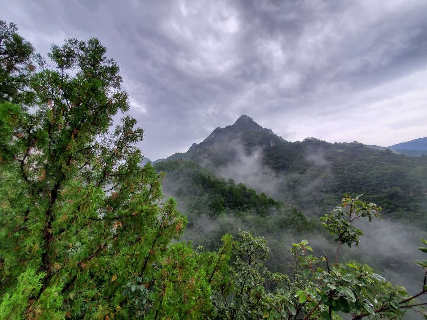 103348z5bg9anyevbv0ogw.jpg
