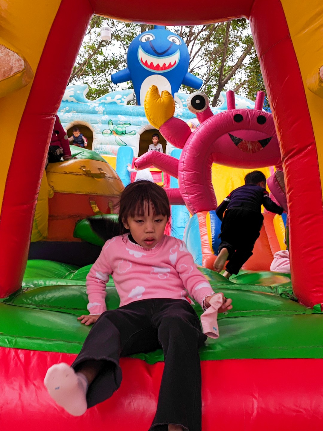 IMG_20220101_160258_2.jpg