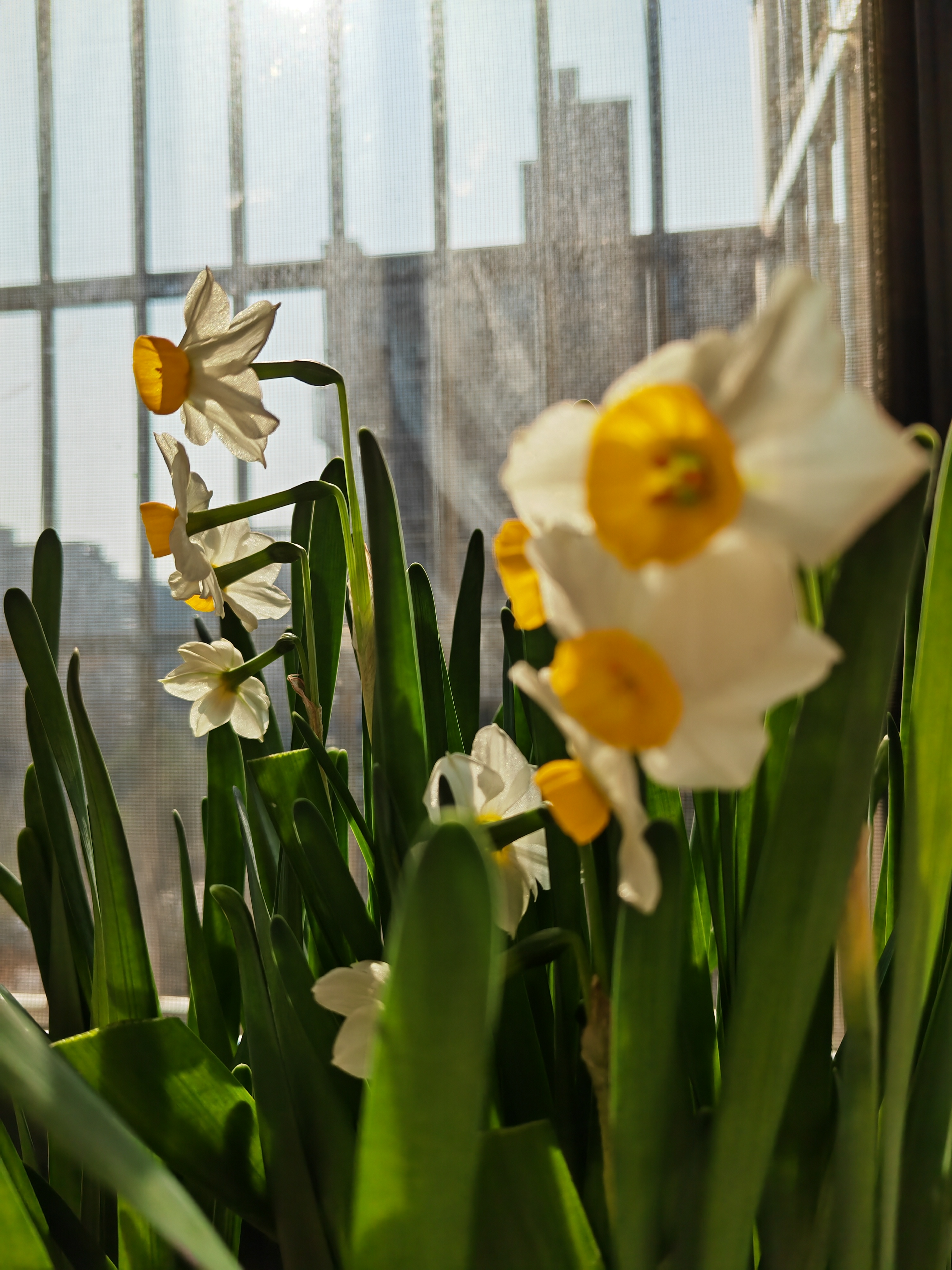 IMG_20220102_110133.jpg