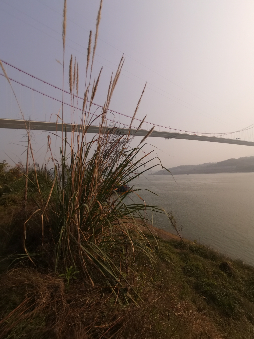 IMG_20220102_135618.jpg