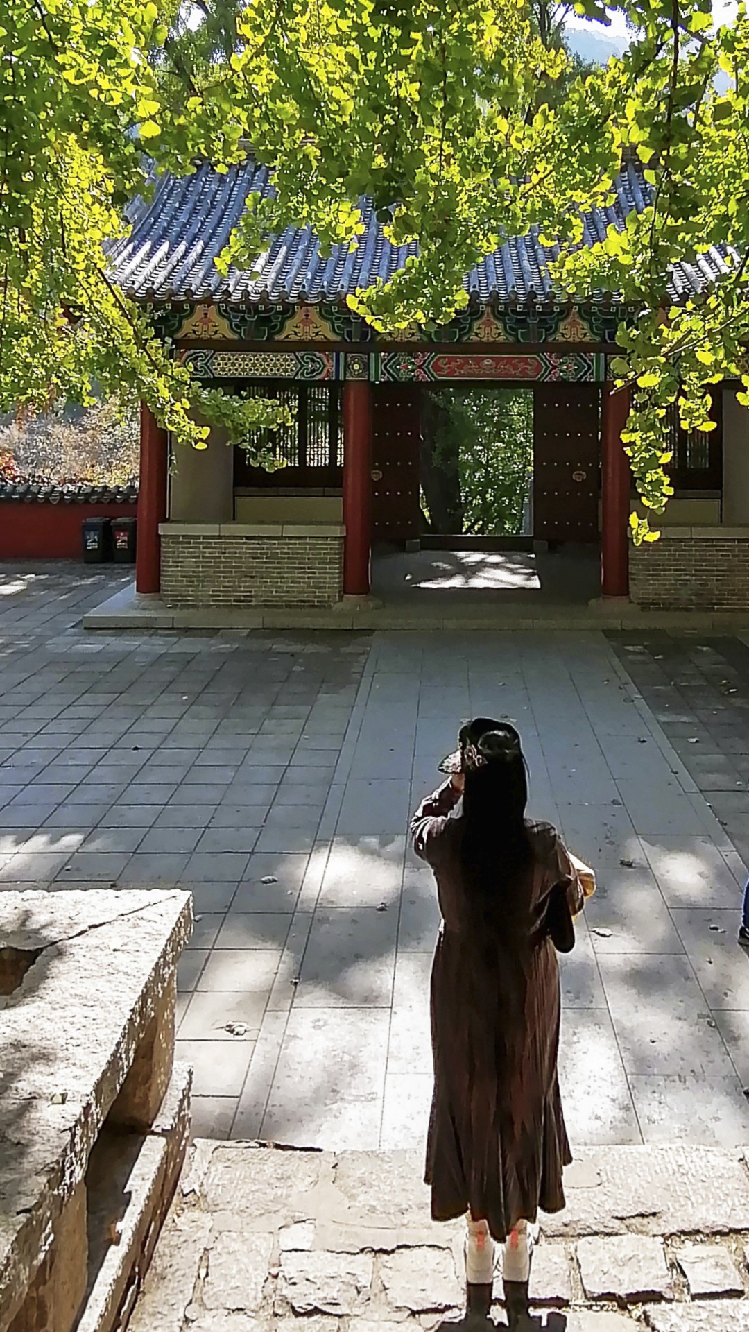 叶儿嫩黄在眼前