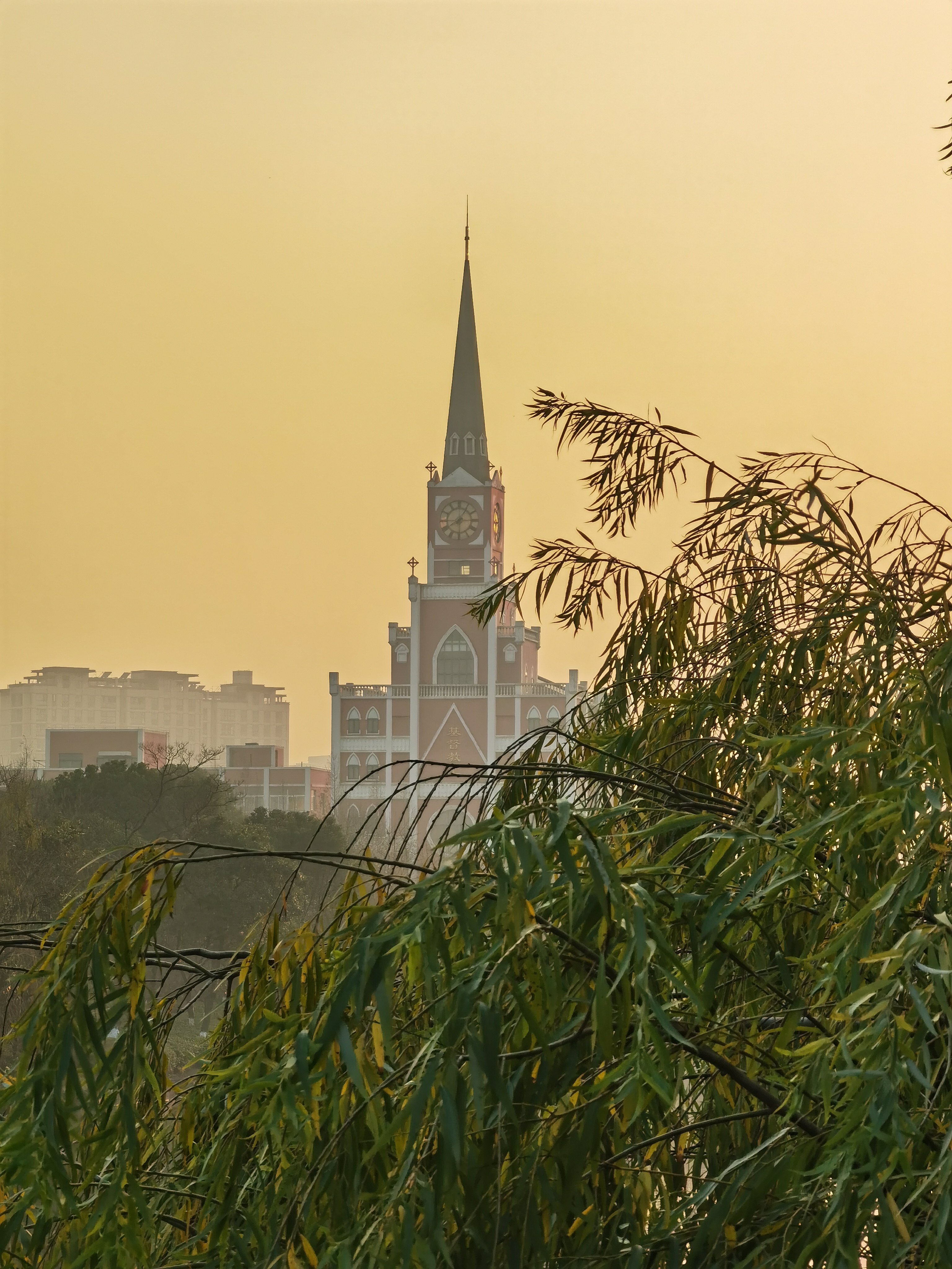IMG_20220102_162310.jpg