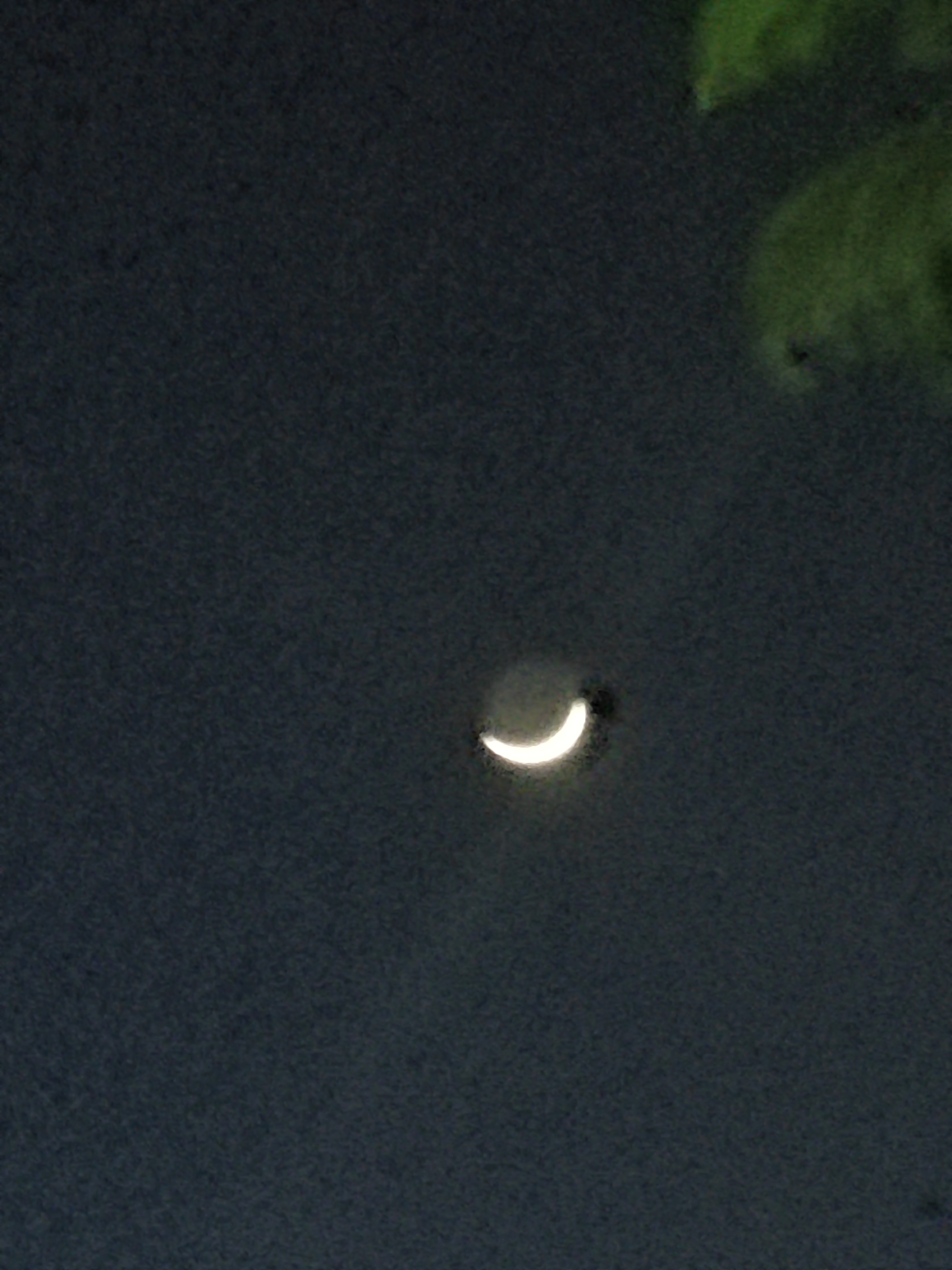 IMG_20220105_185345.jpg