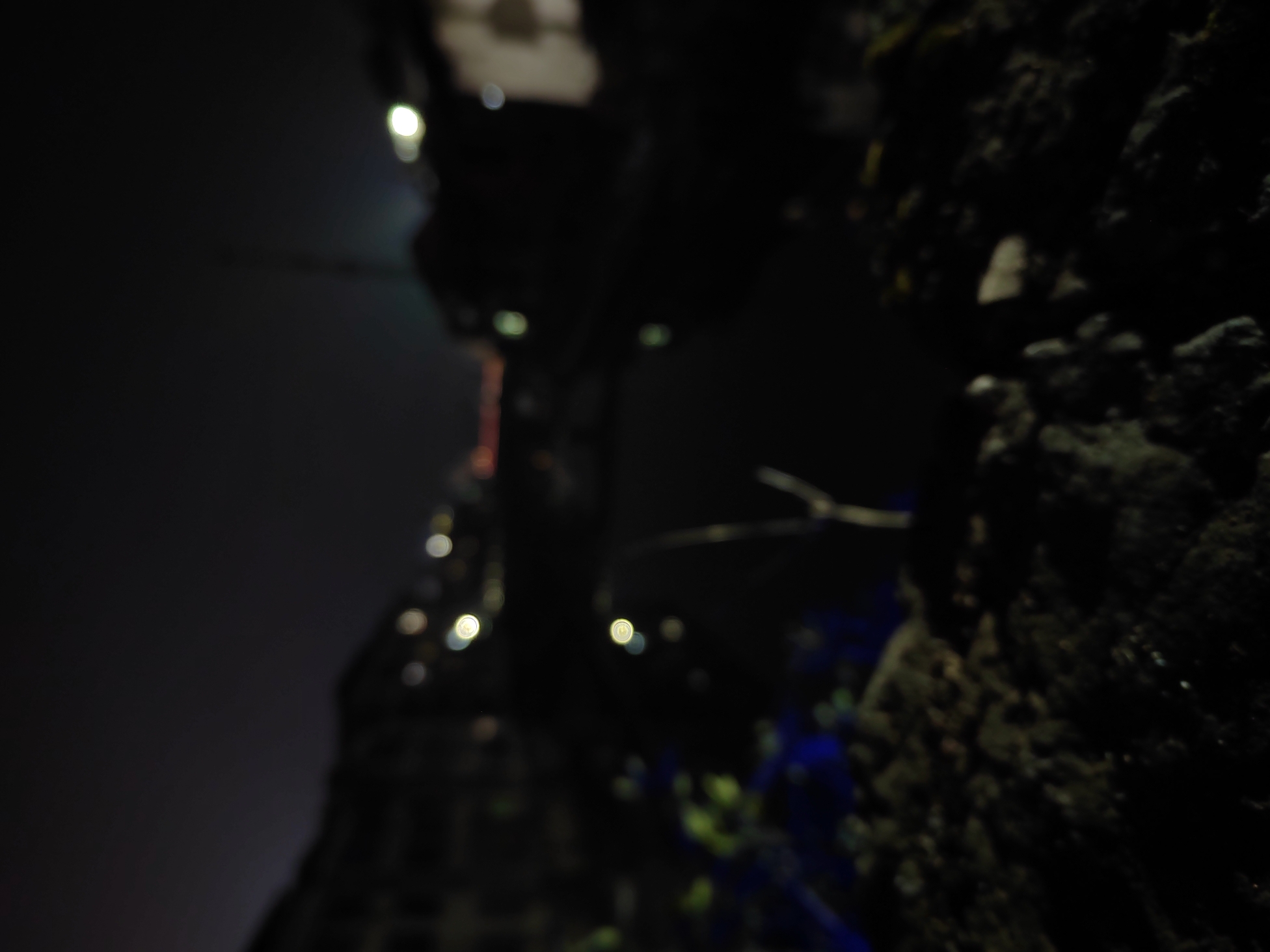 IMG_20220103_223300.jpg