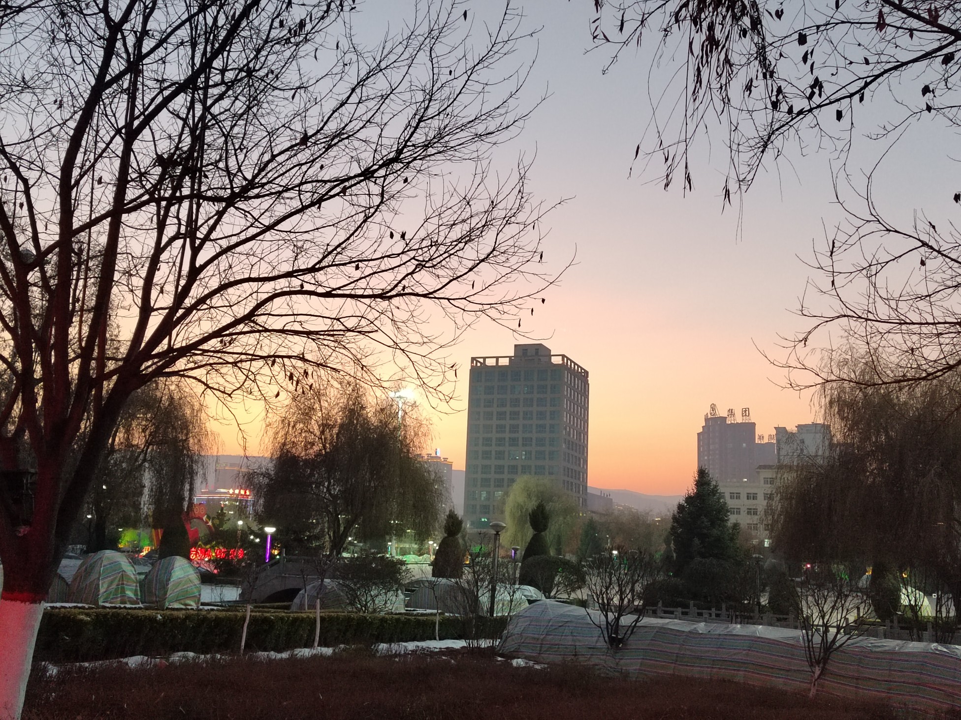 IMG_20211204_181304.jpg