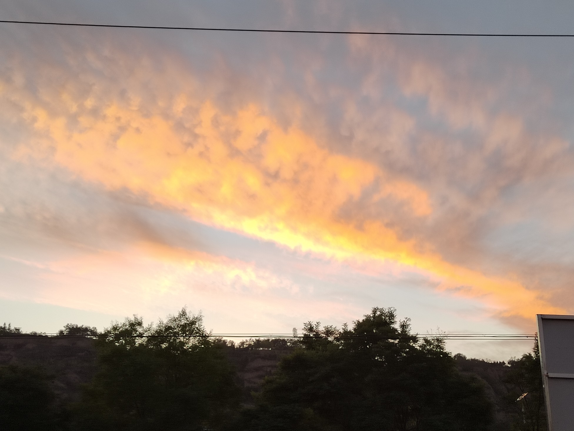 IMG_20210921_190524.jpg