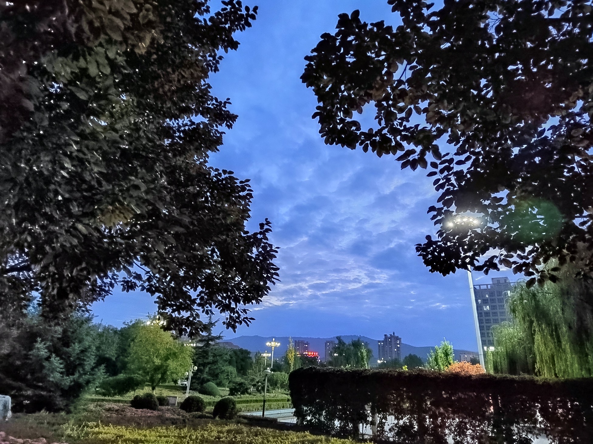 IMG_20210926_191638.jpg