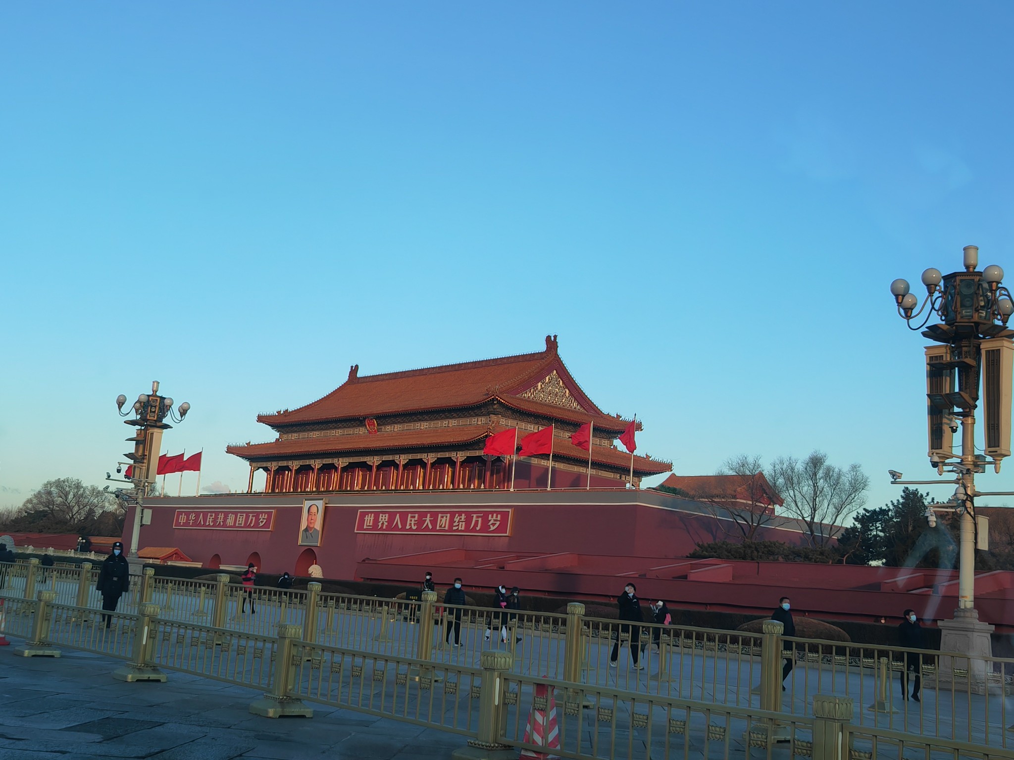IMG_20220110_080546.jpg