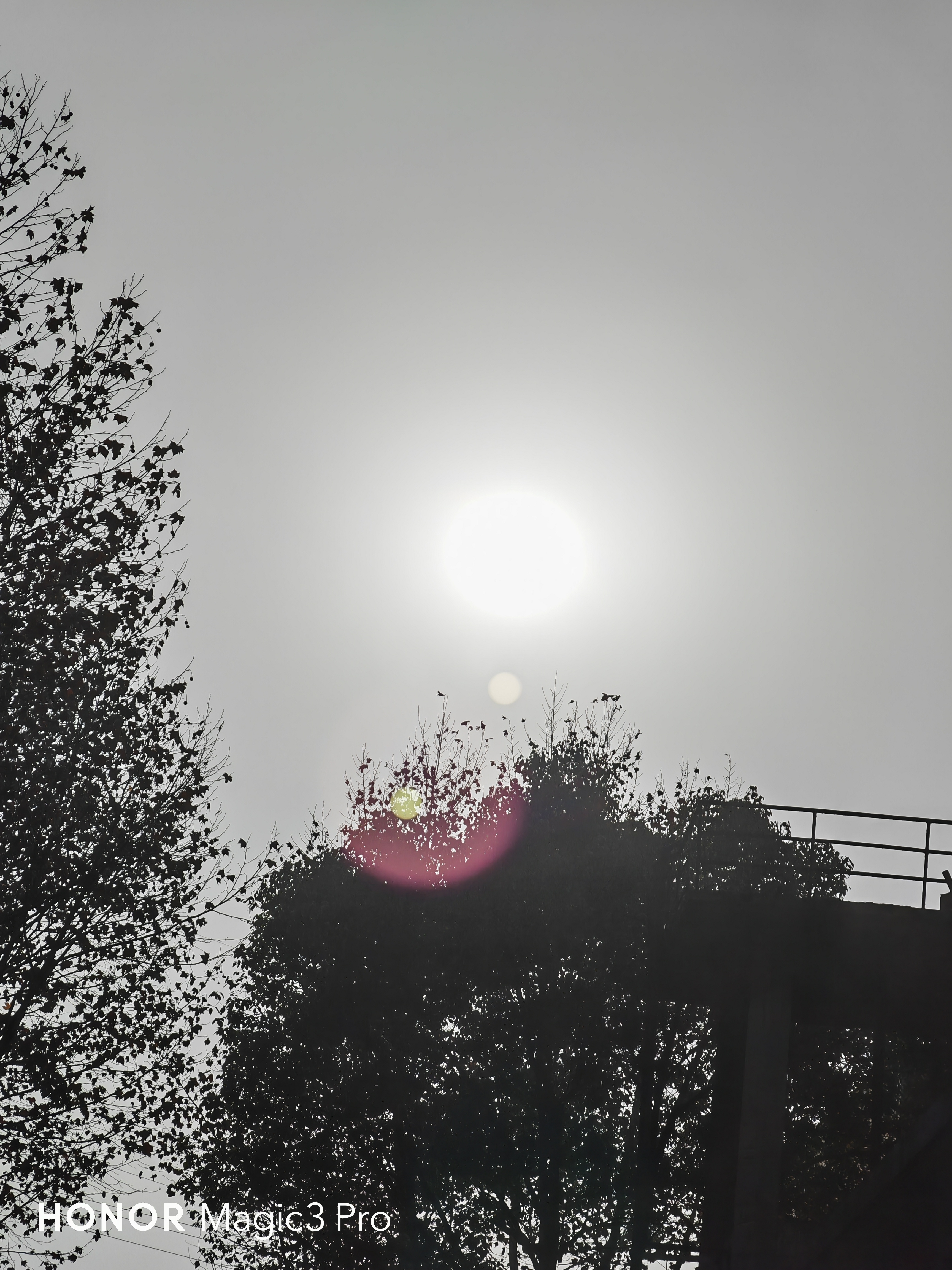 IMG_20211213_150135.jpg