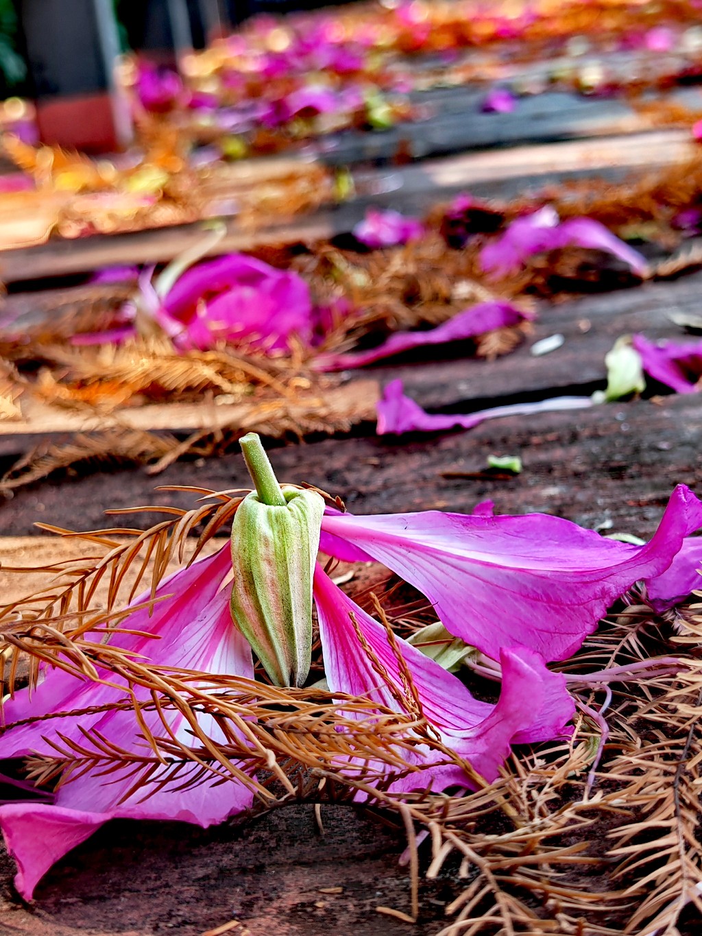 IMG_20220111_200519.jpg