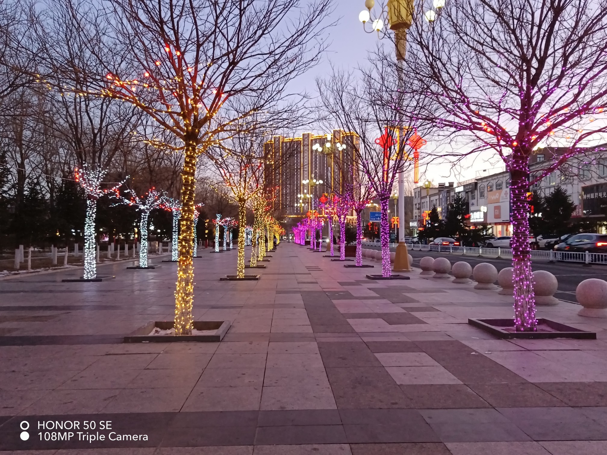IMG_20220113_173454.jpg